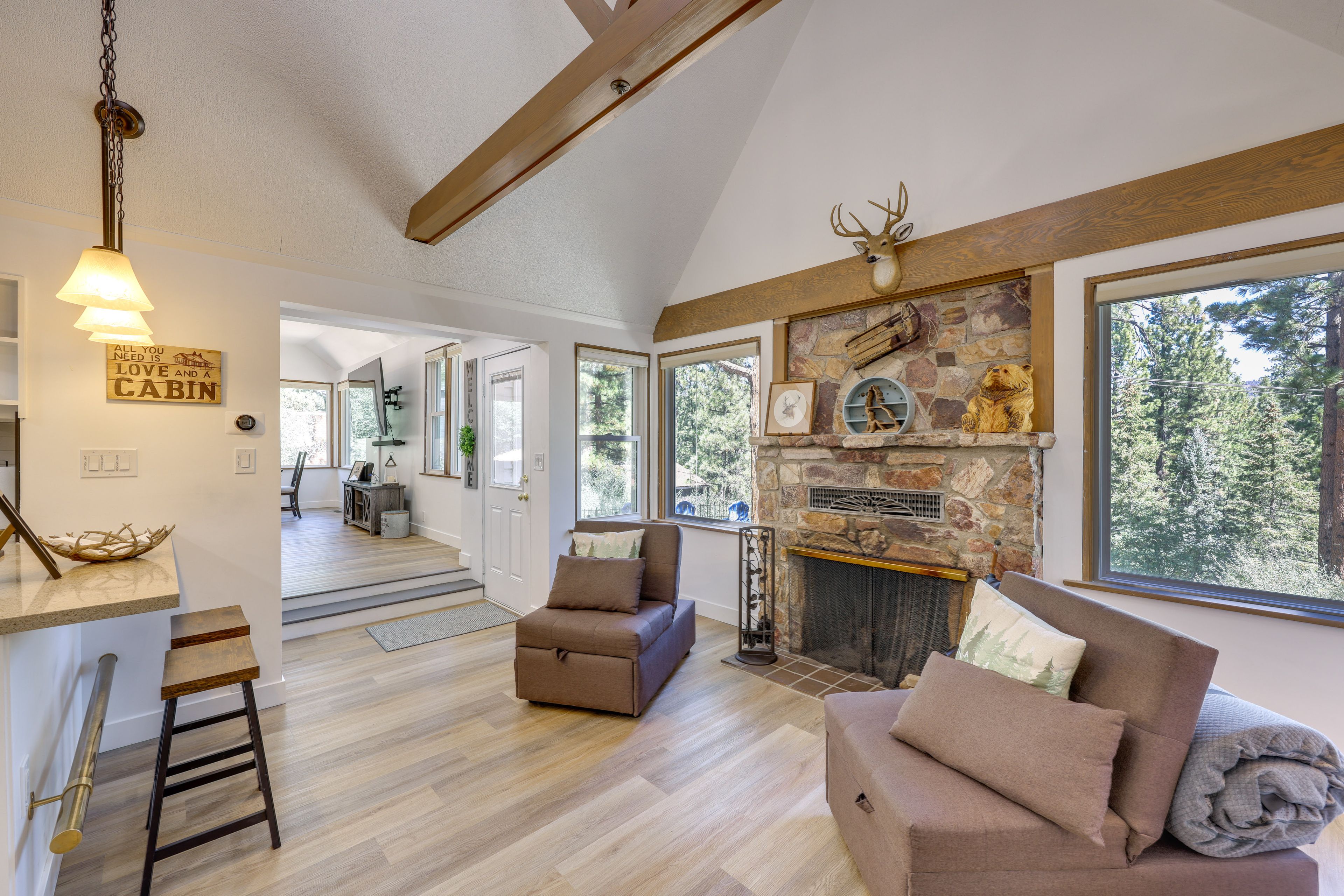 Den | Fireplace
