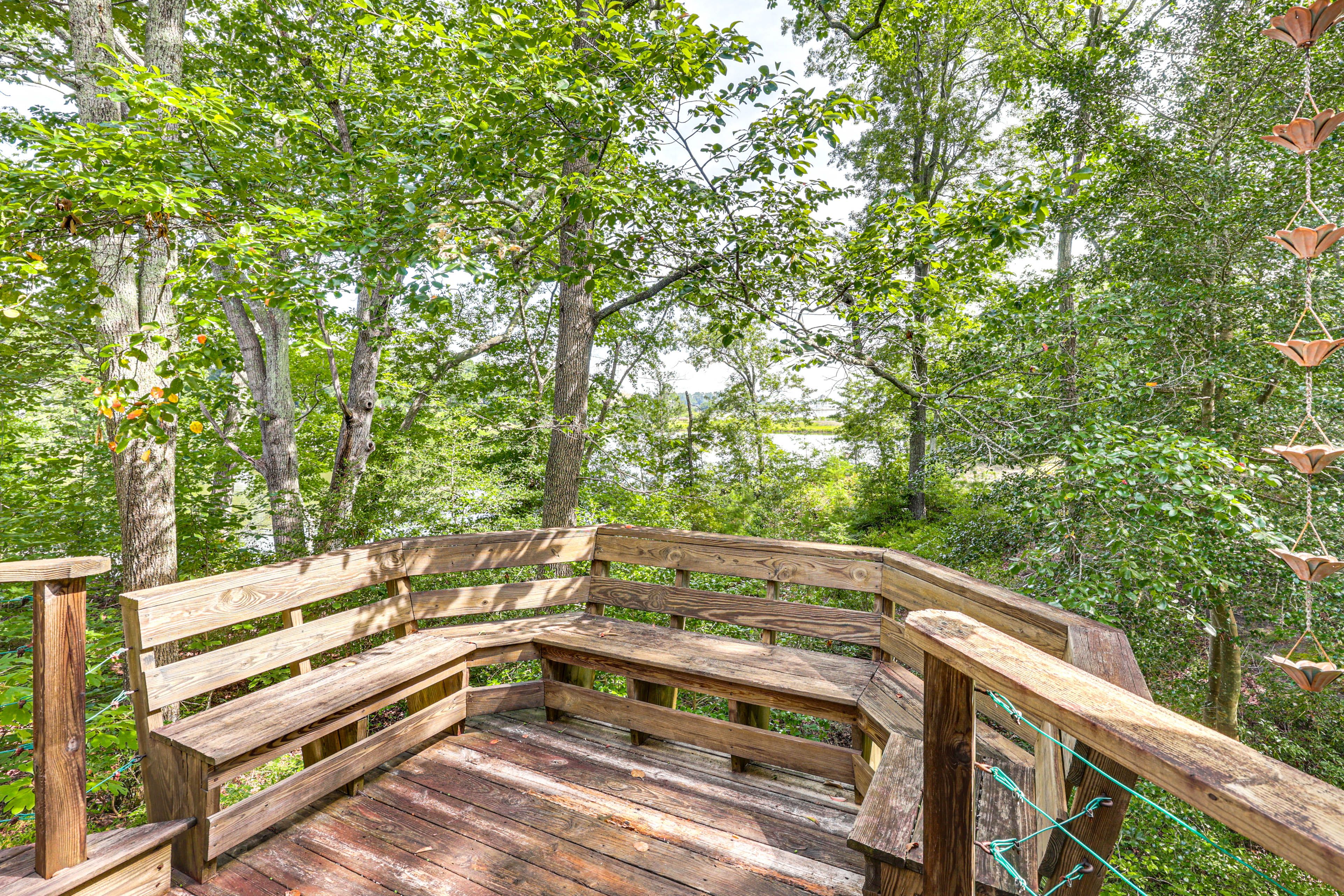 Deck w/ Gas & Traeger Grills