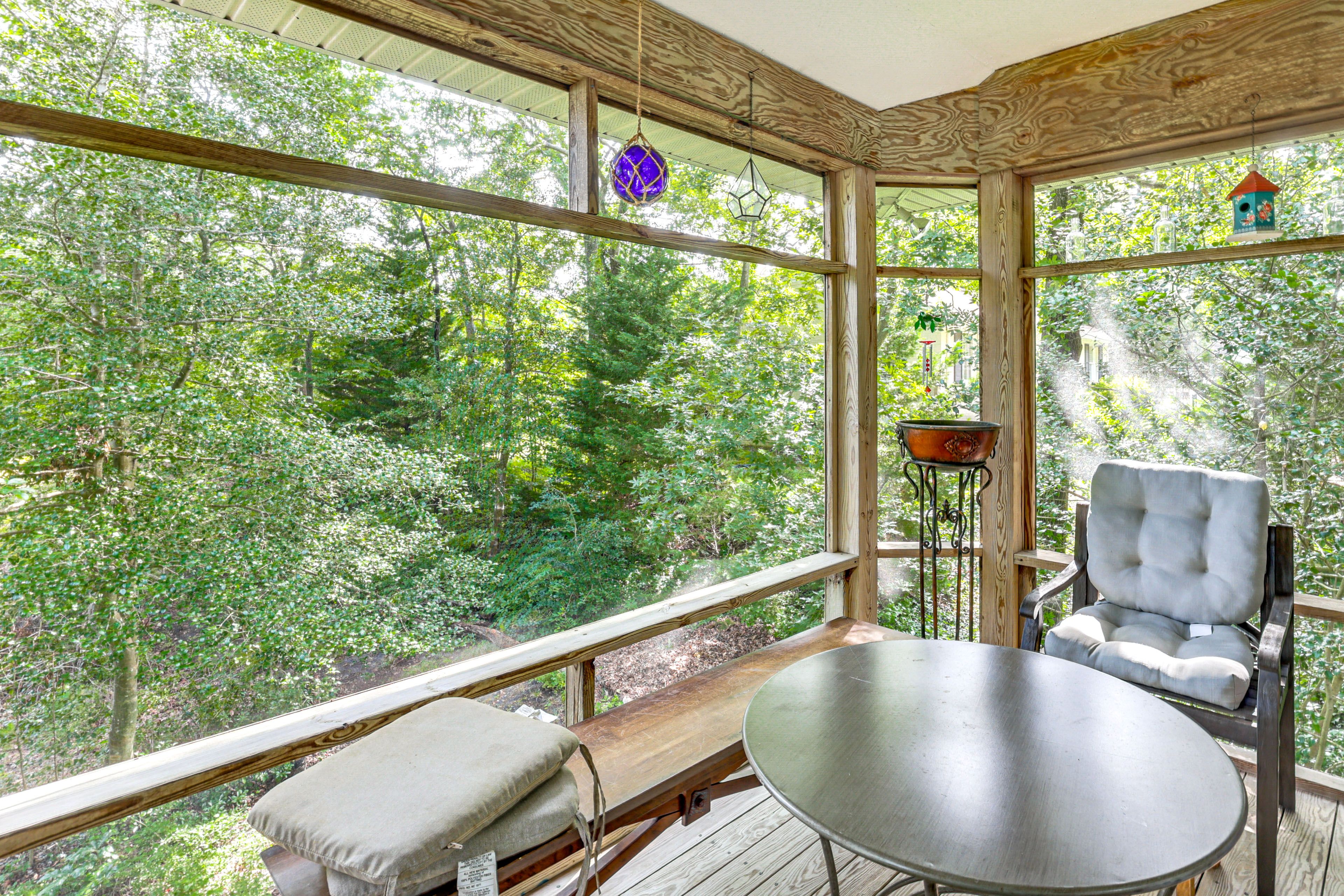 Screened Porch w/ Forested Views