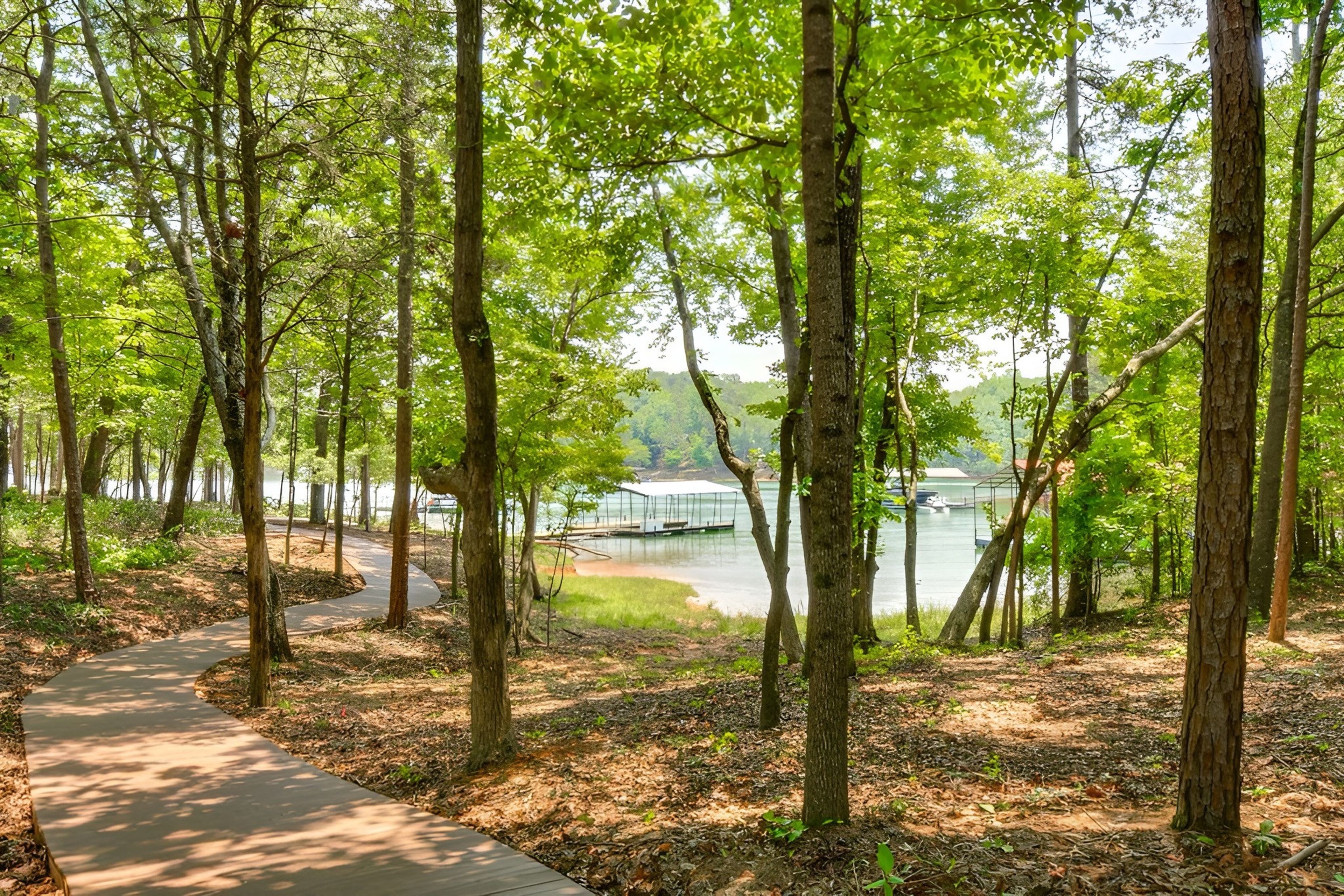 Trail to Lake & Dock