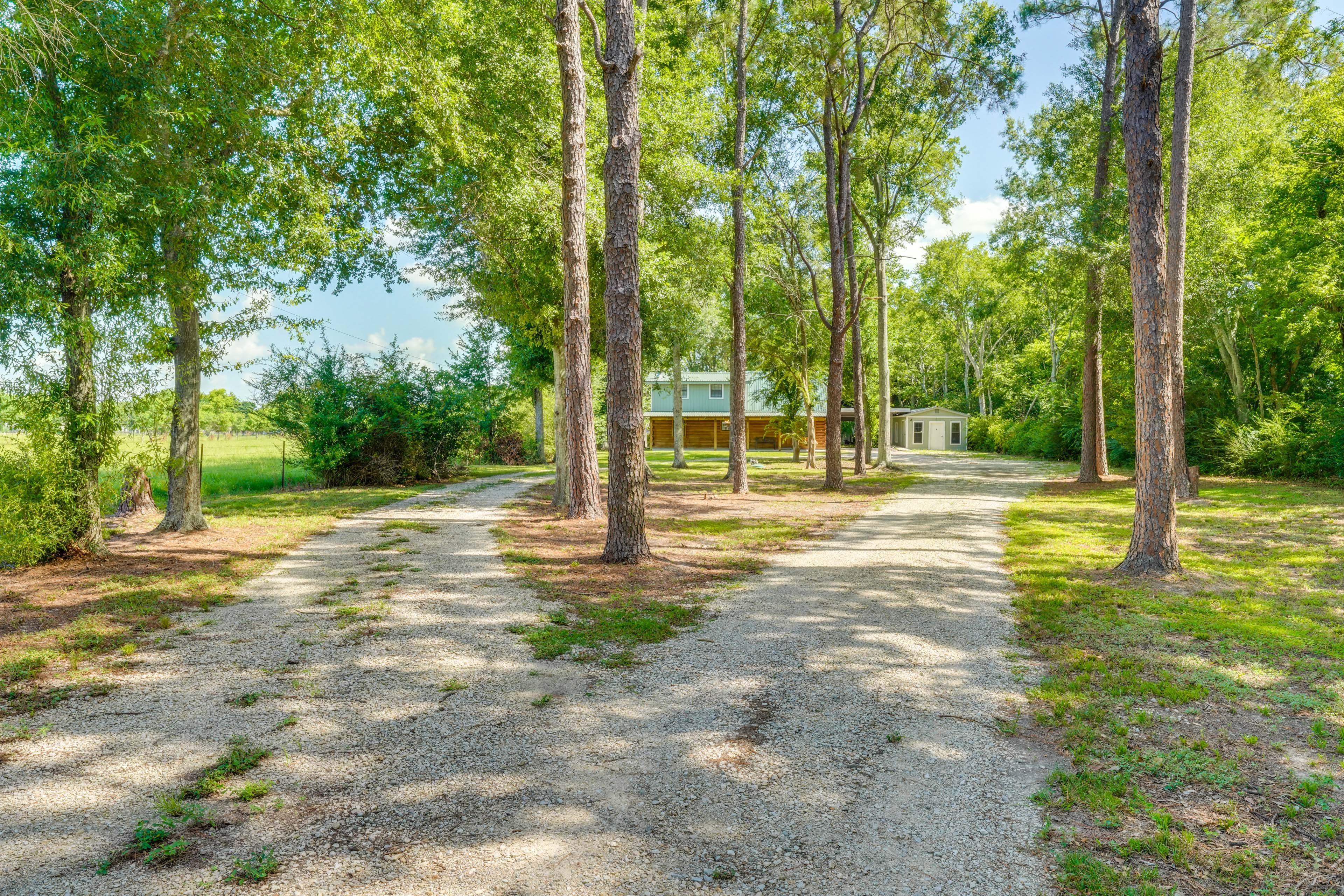 Cabin Exterior