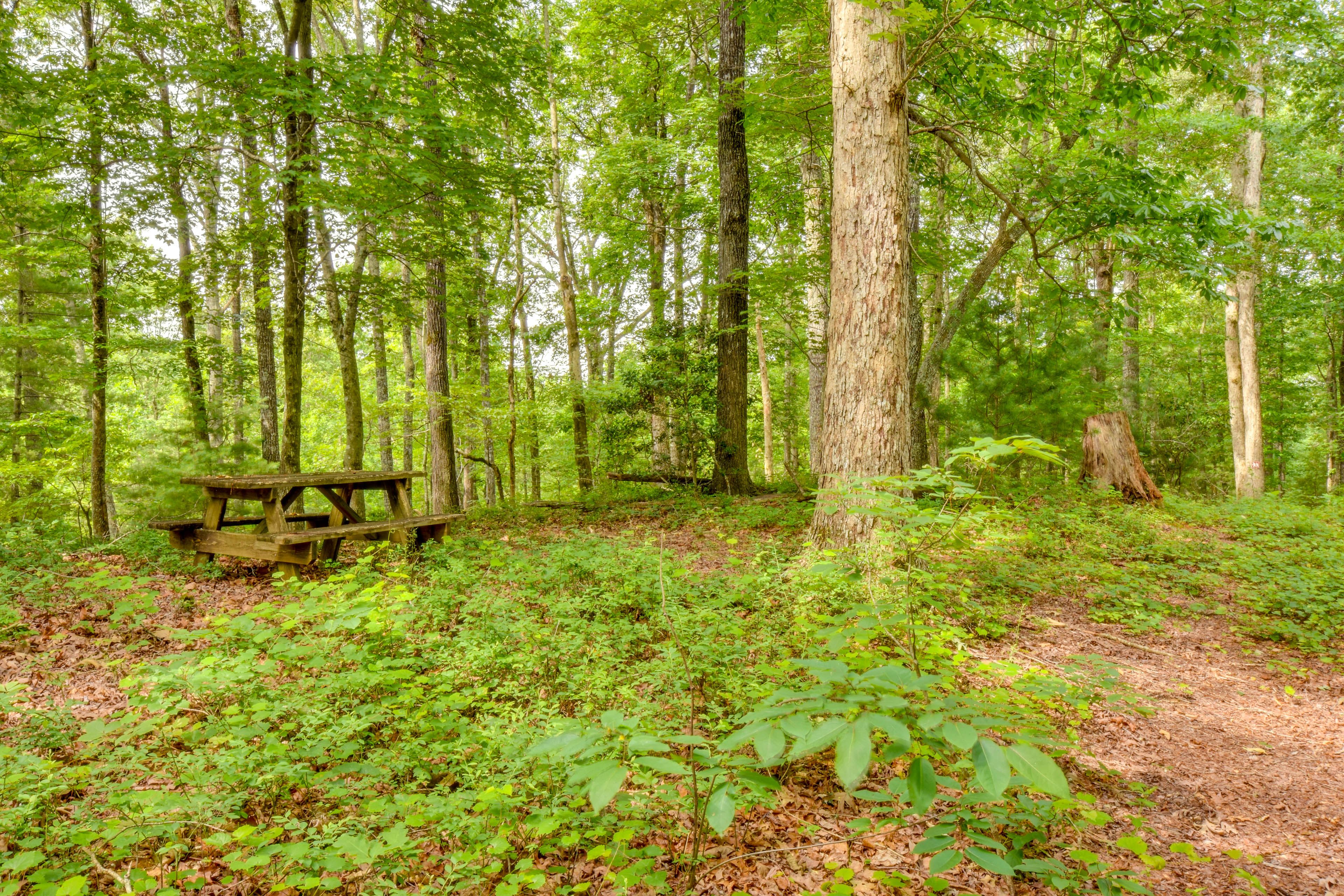 Access to Hiking Trails On-Site