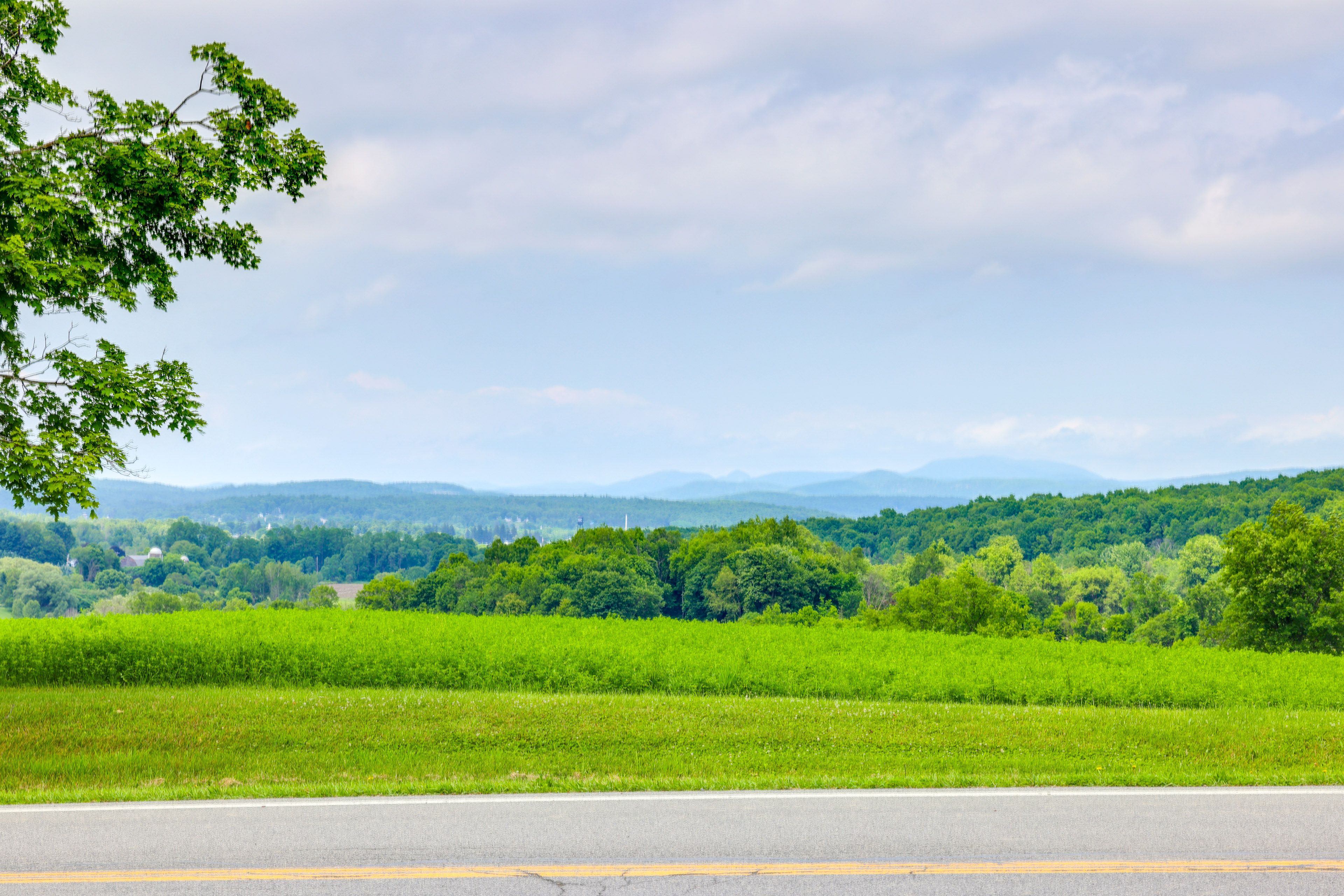 Mountain Views