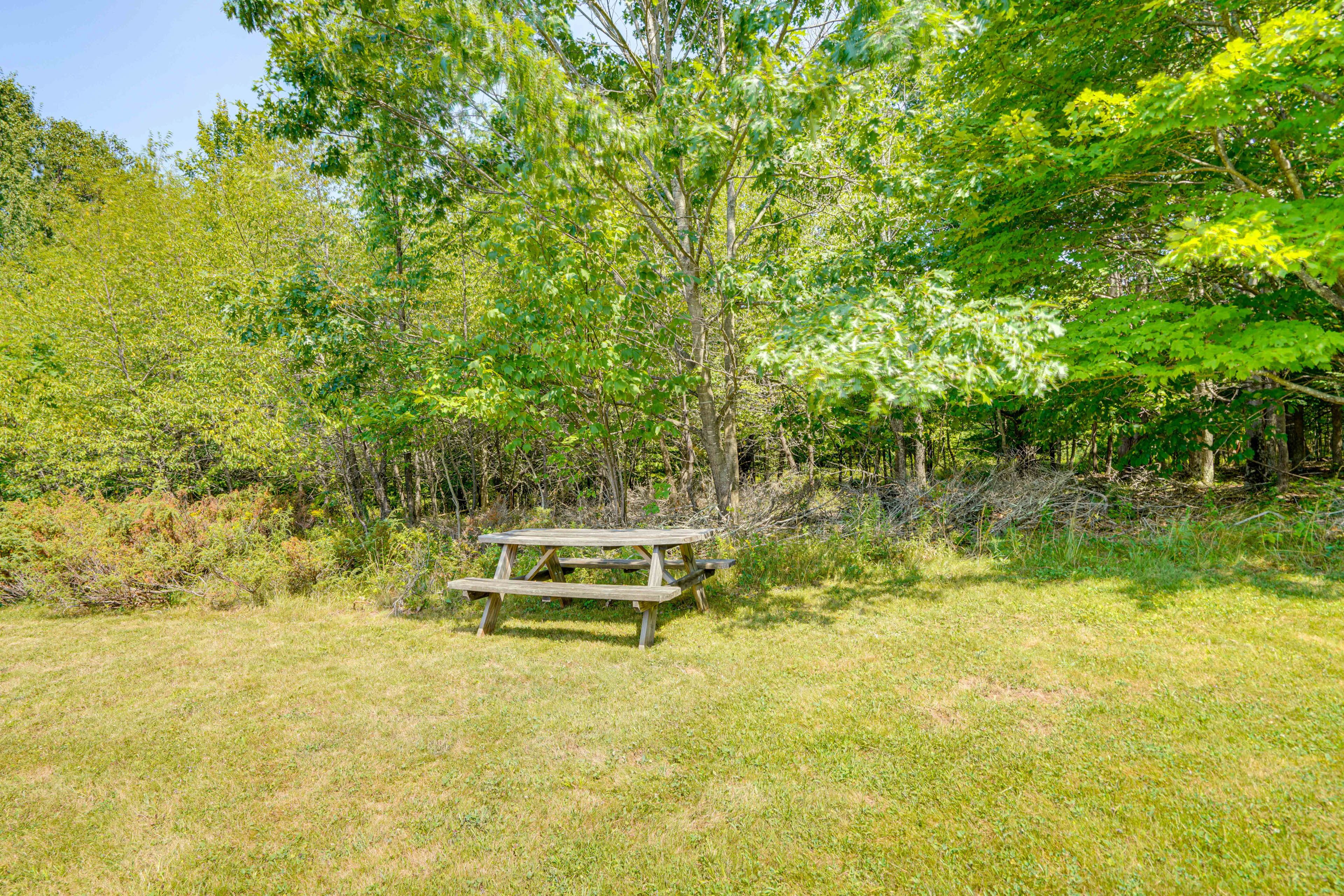 Image 33