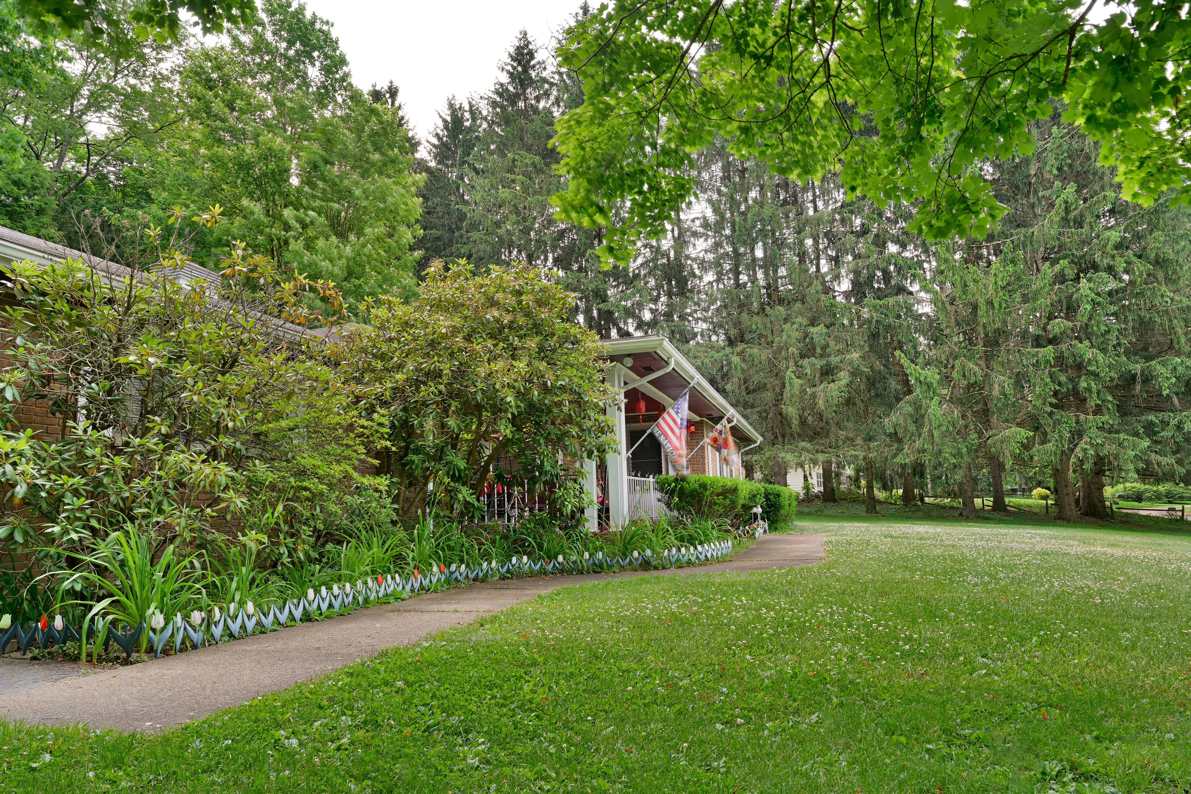 Image 27