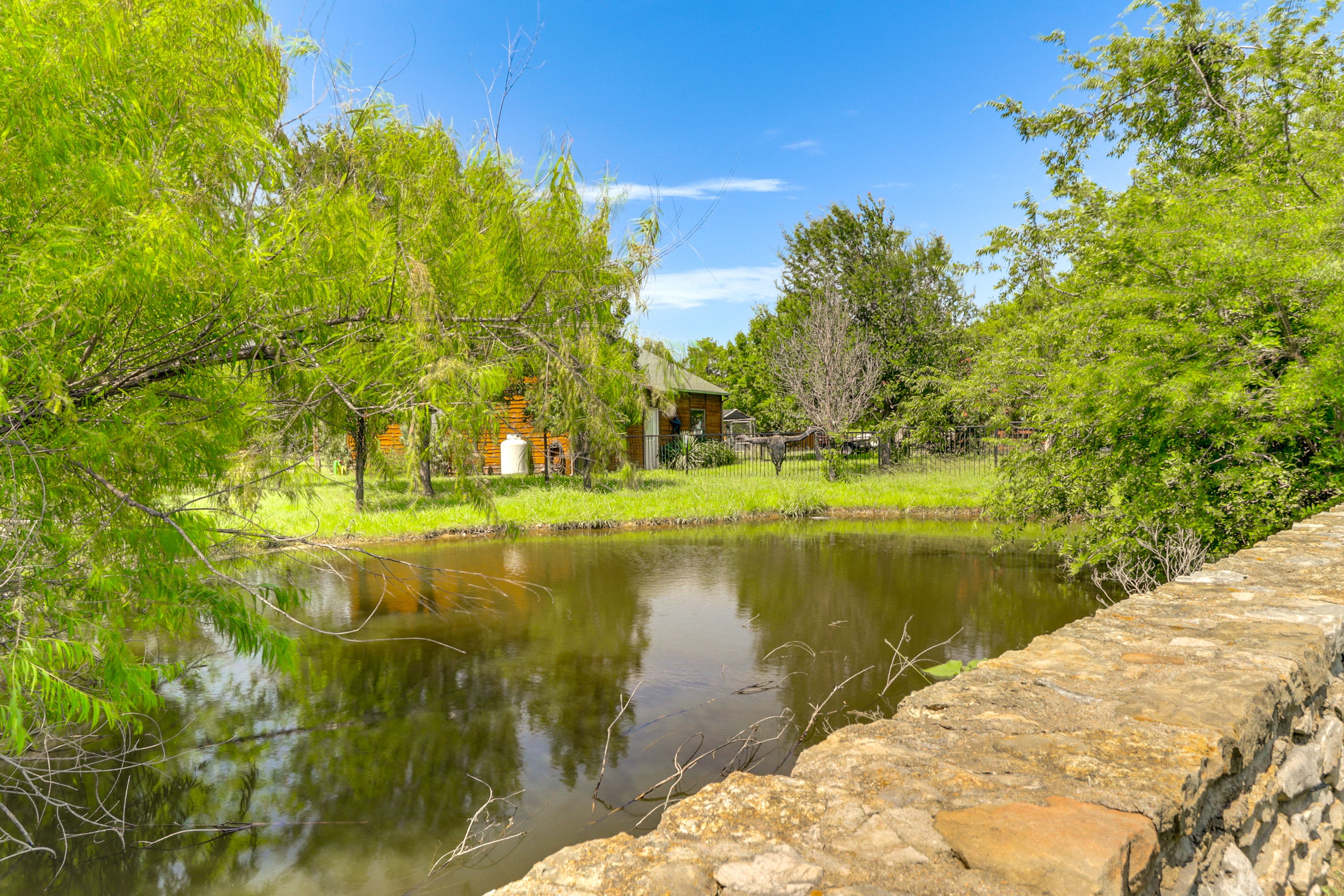 Nearby Pond