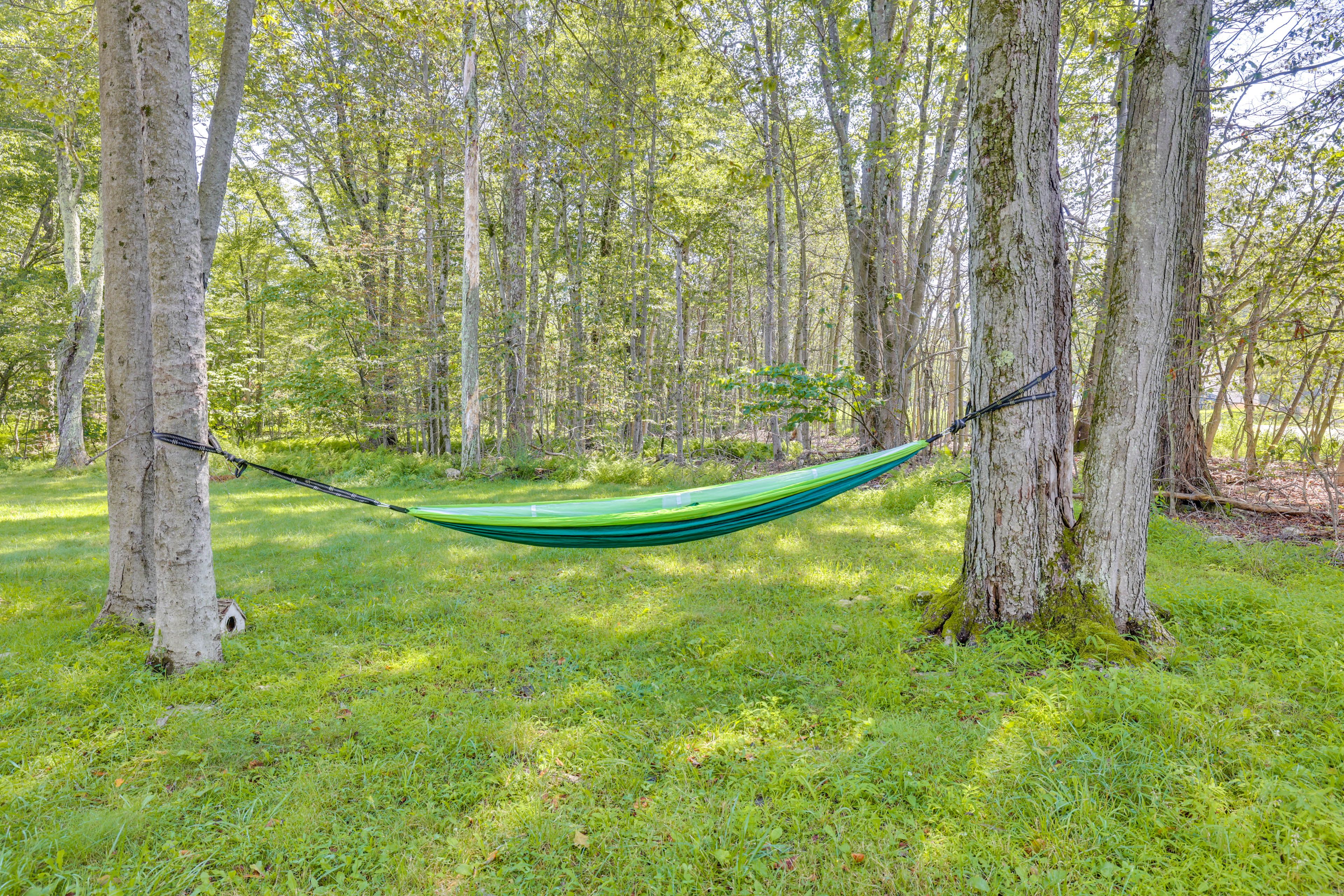 Hammock