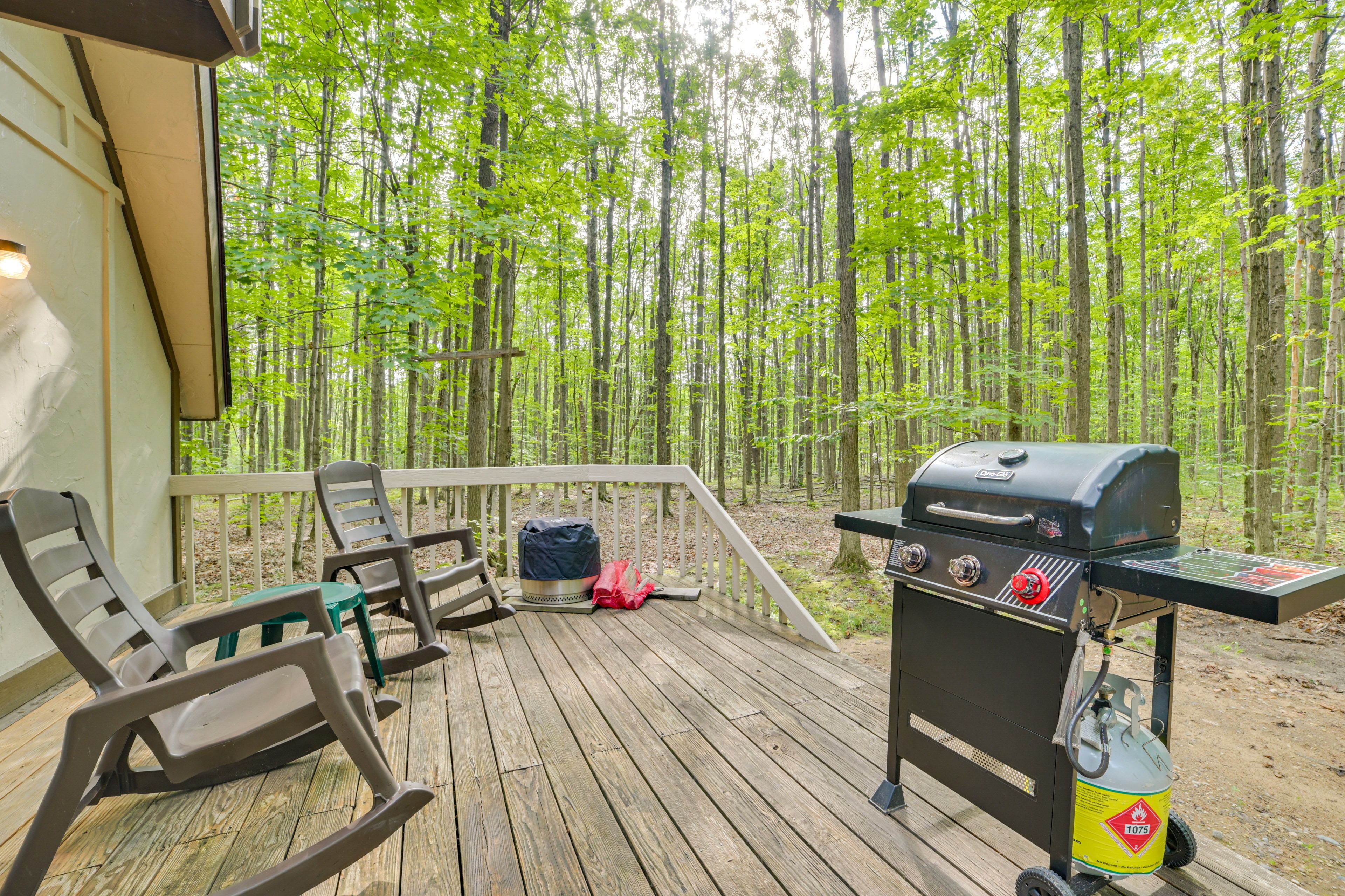 Deck | Gas Grill