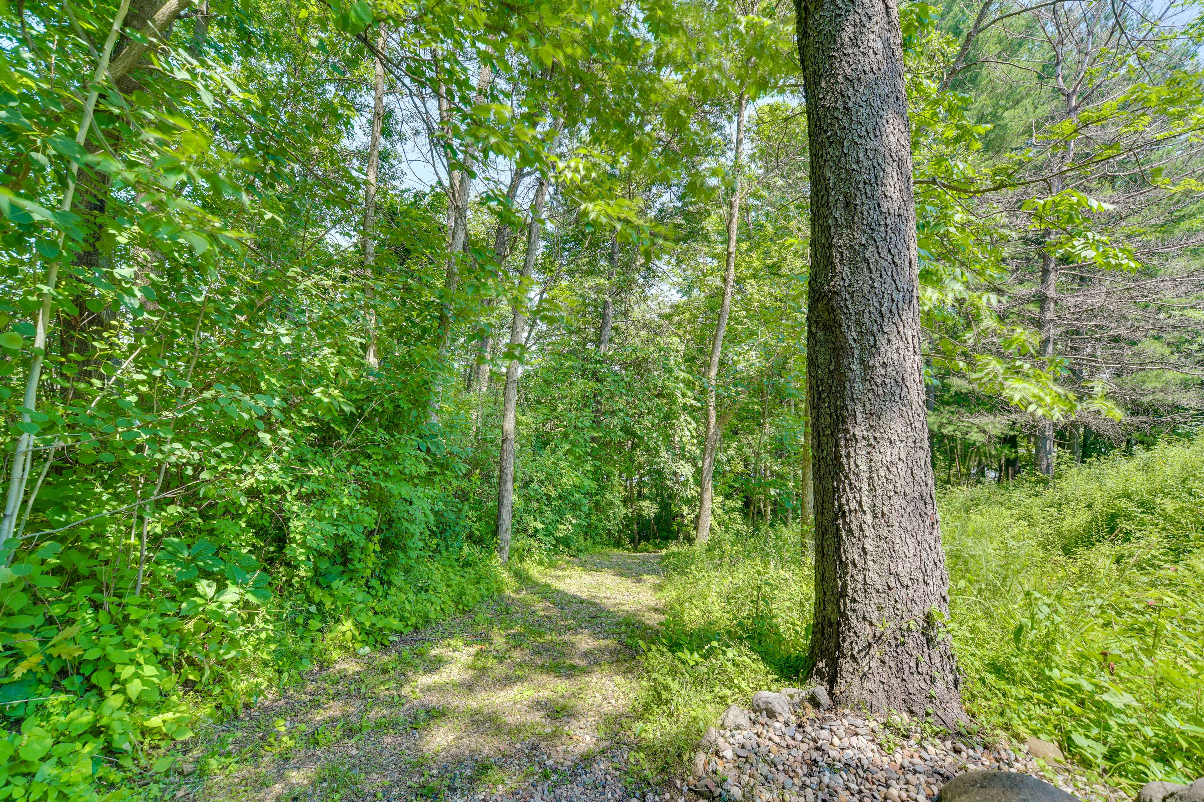 Hiking Trails On-Site