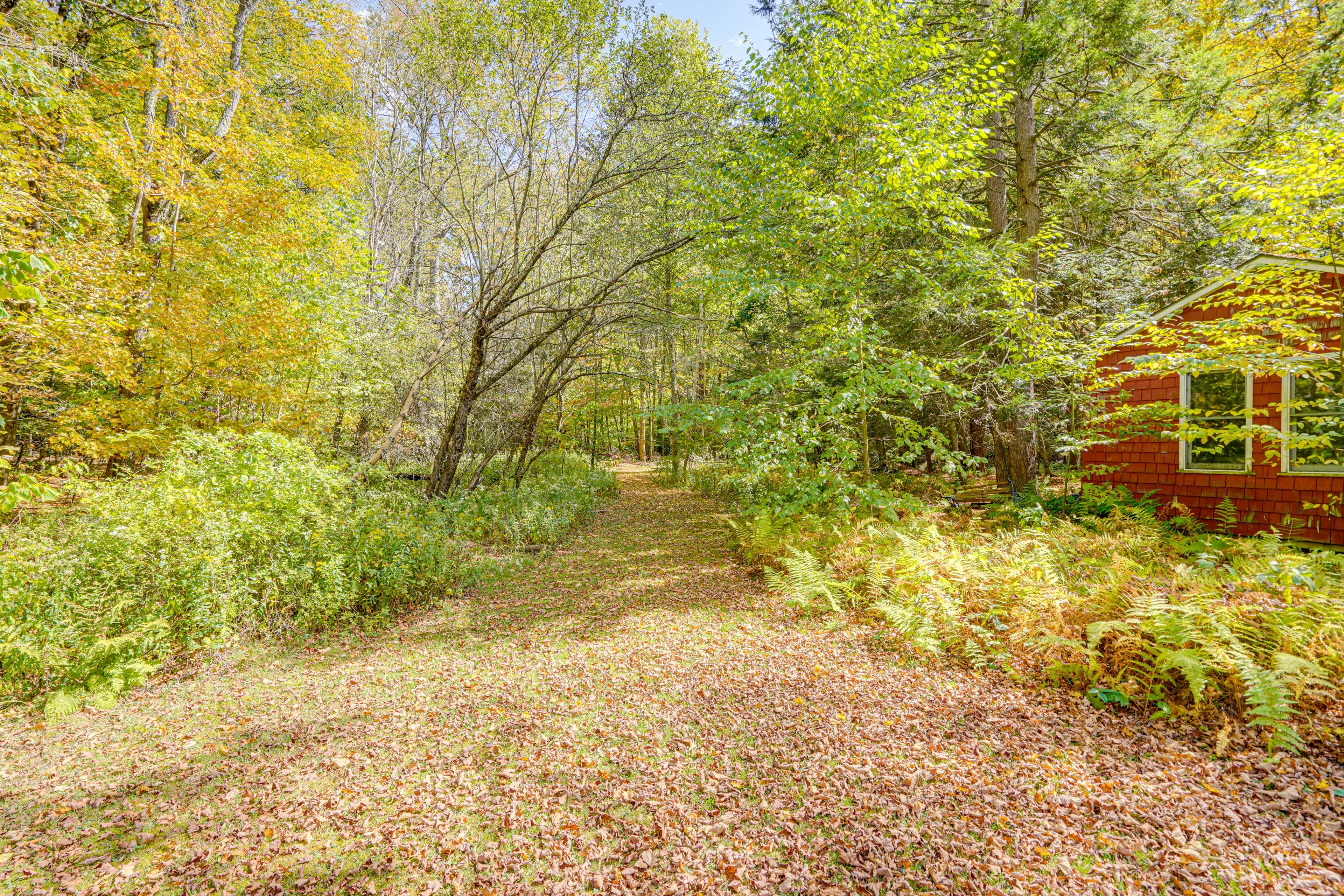 Parking | Driveway (6 Vehicles)