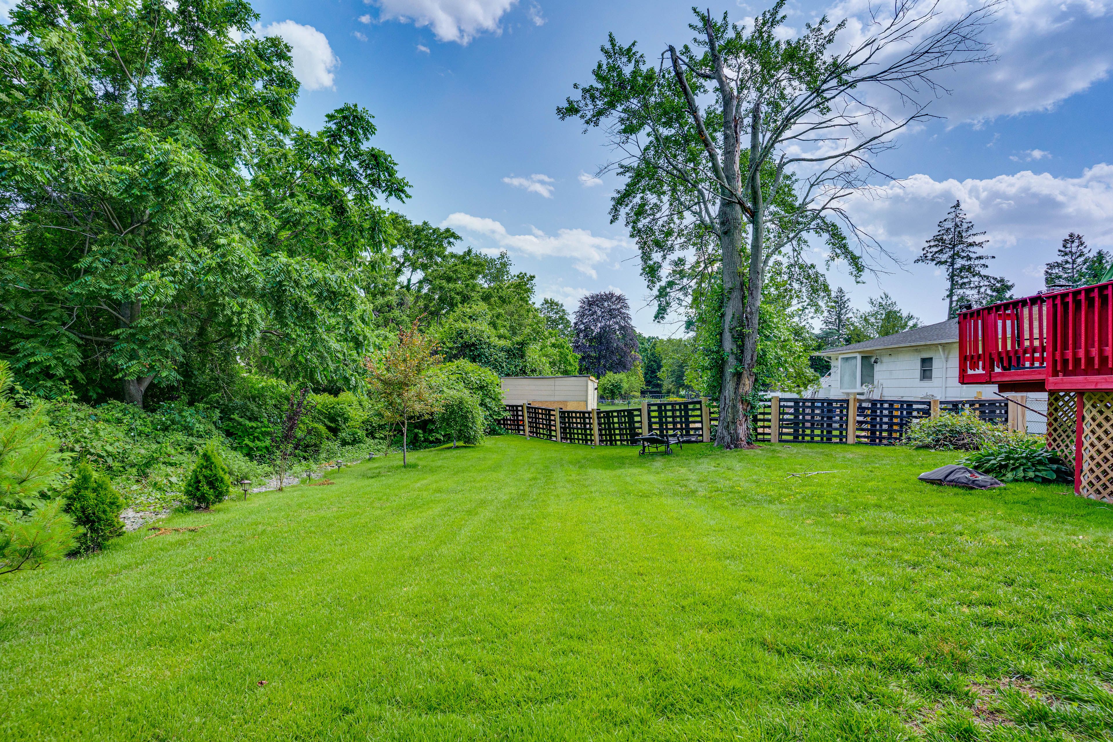 Shared Backyard