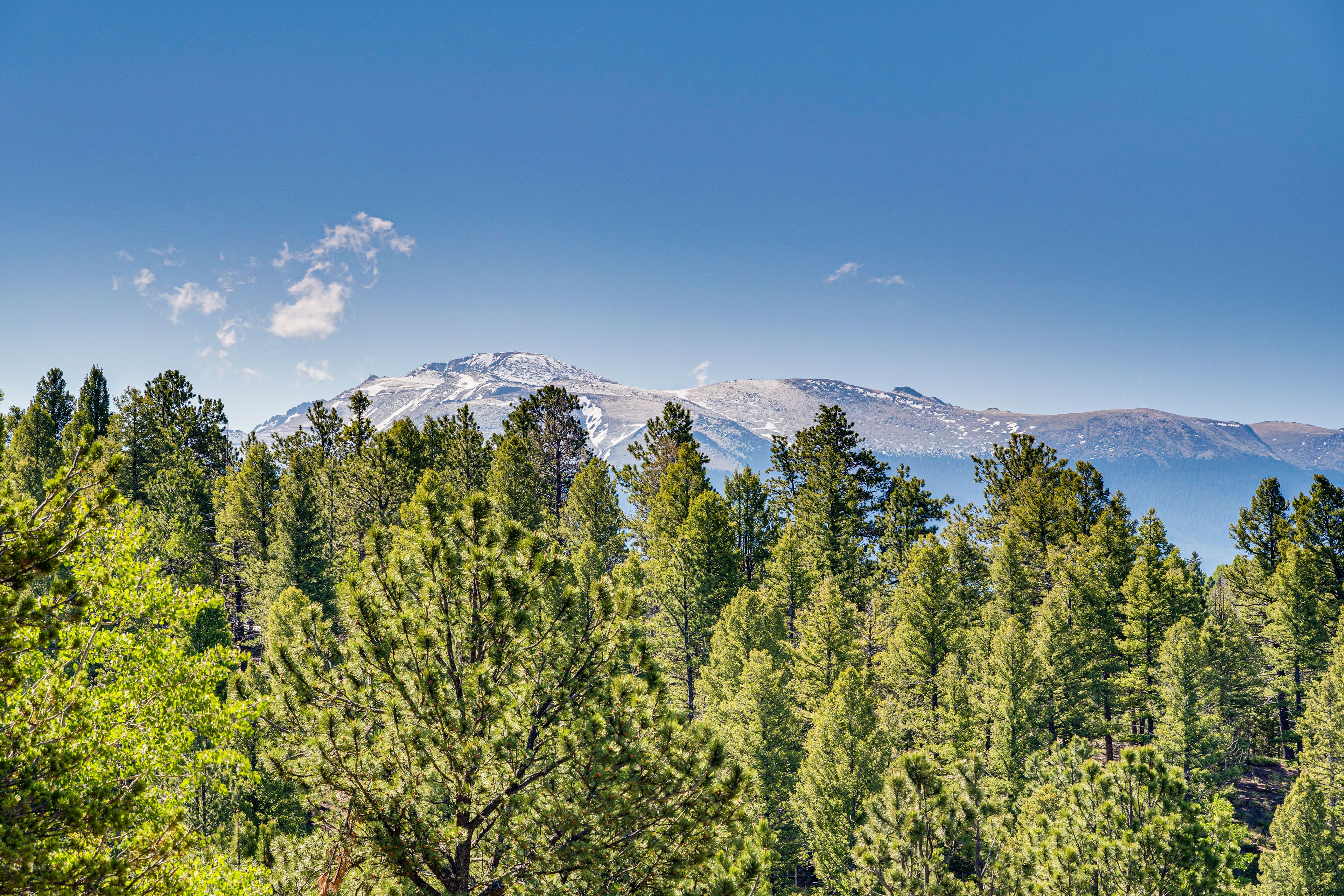 Mountain & Wooded Views