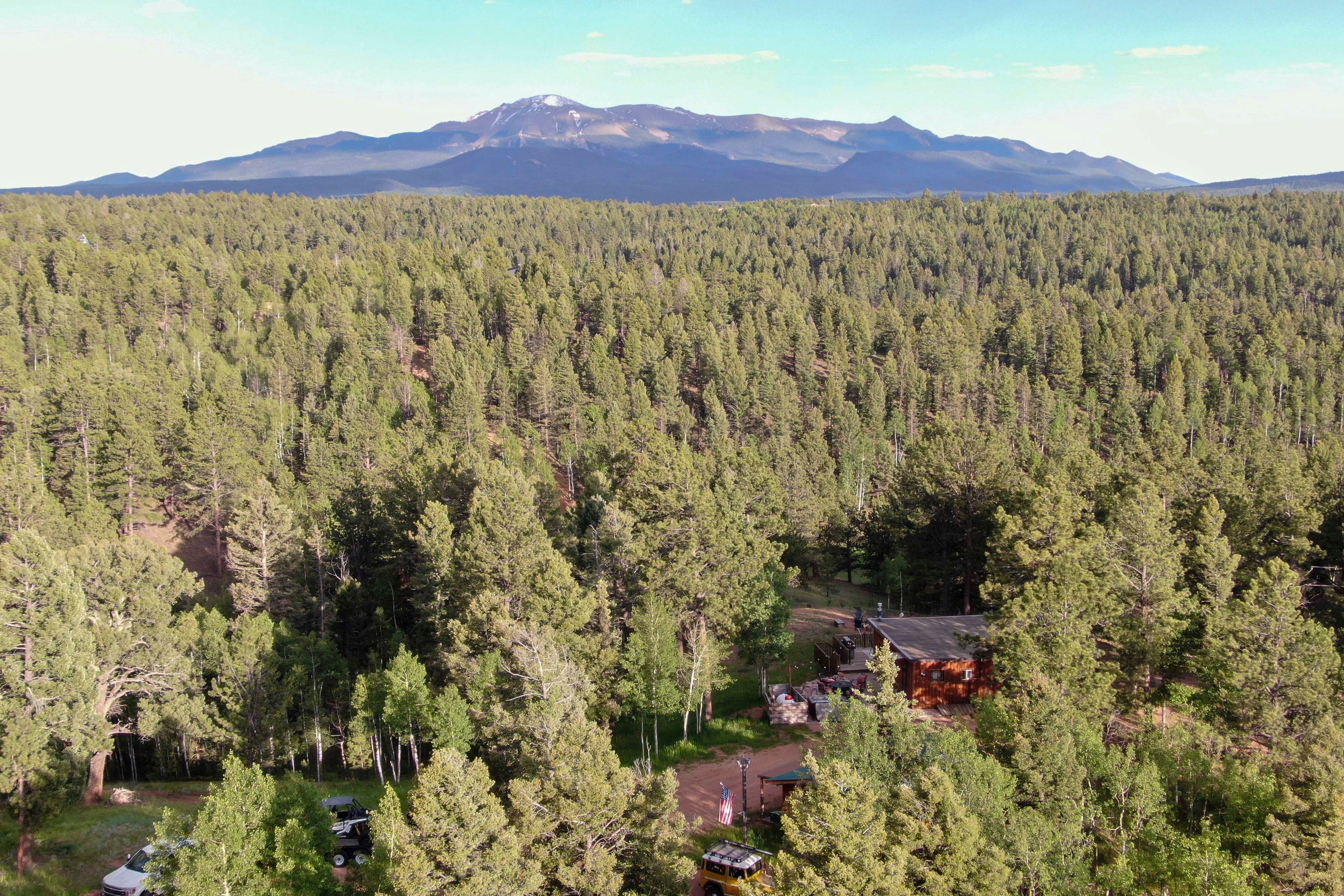 Aerial View of Property