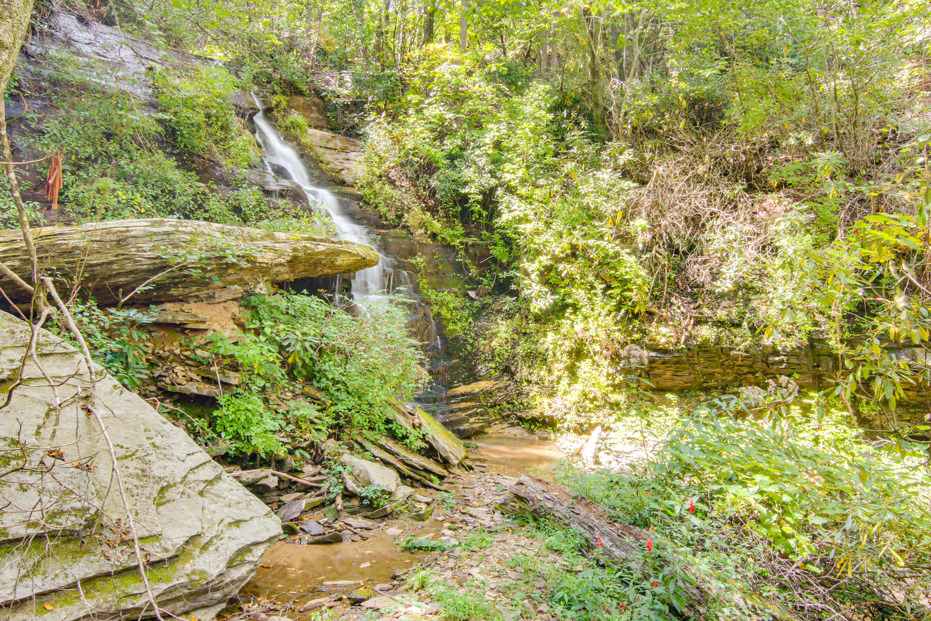 Shared Waterfall Access