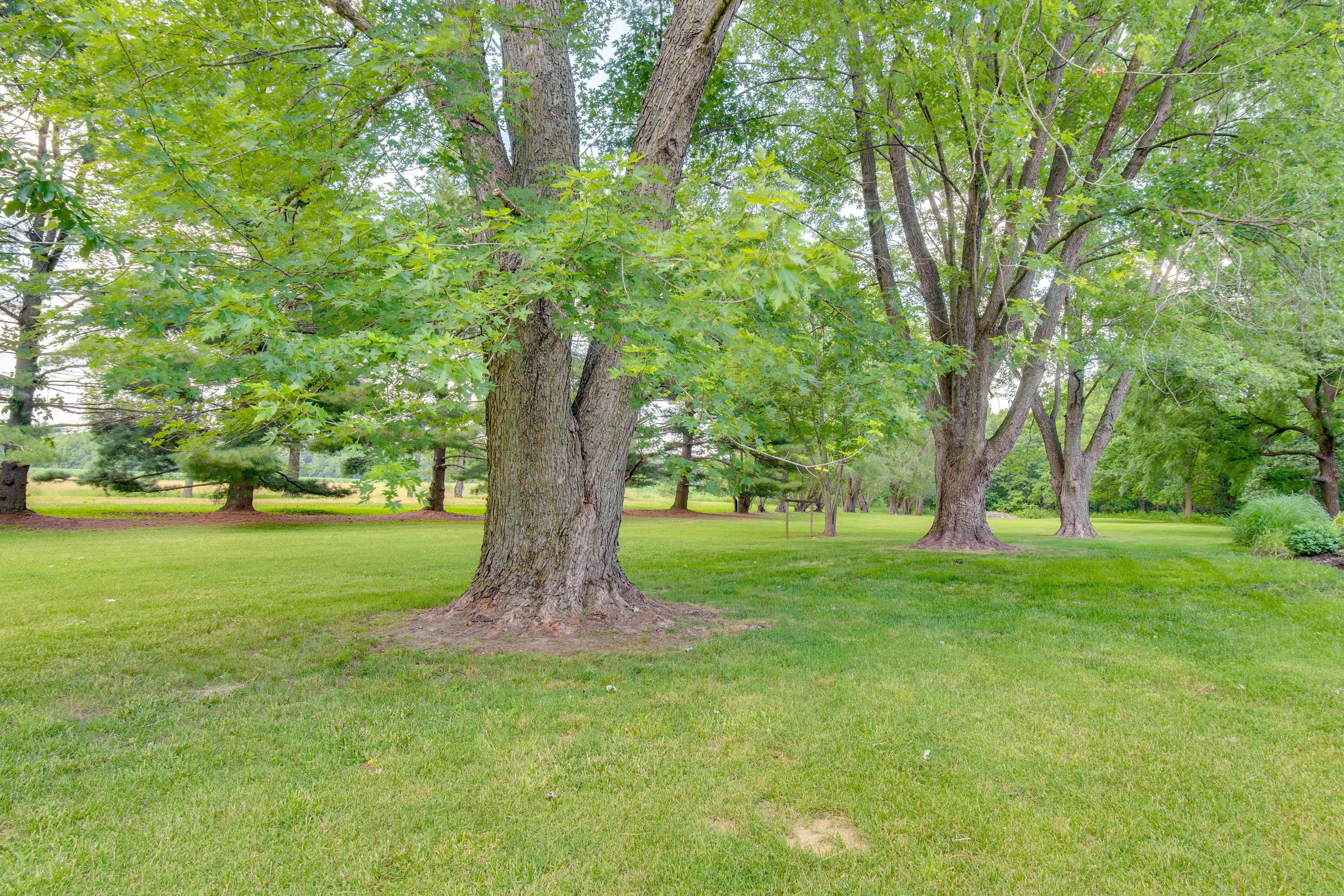 Yard Space | Horseshoes | Fire Pit | Bocce Ball