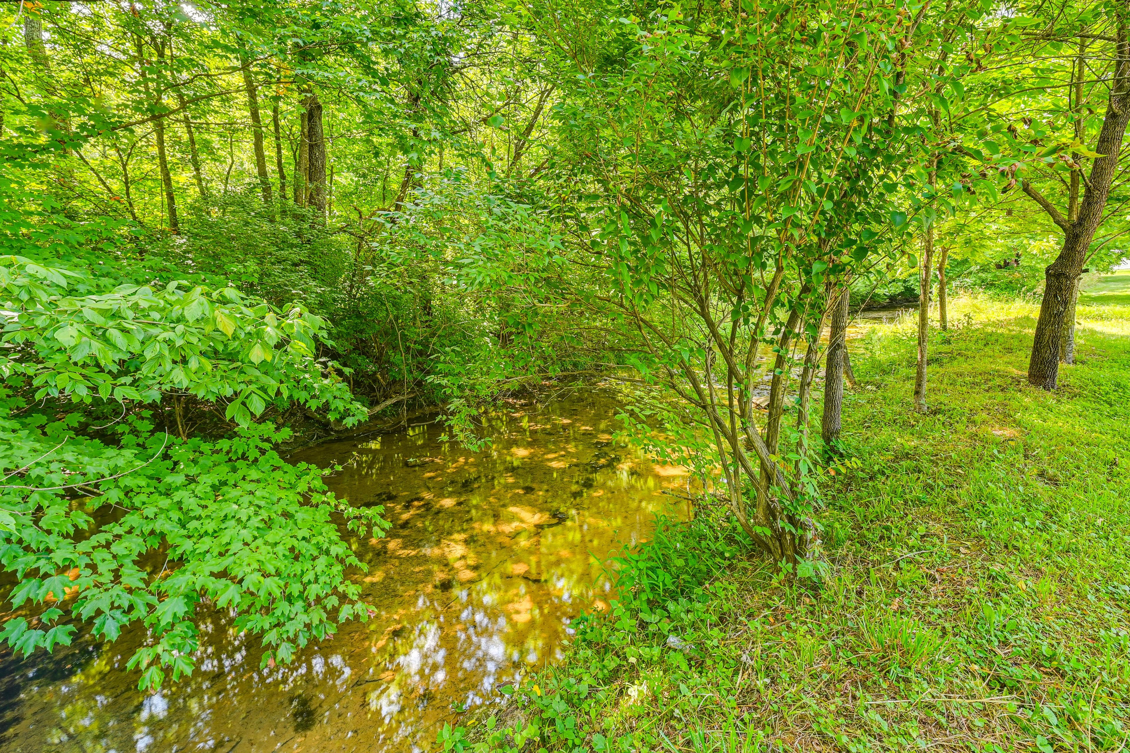 On-Site Creek