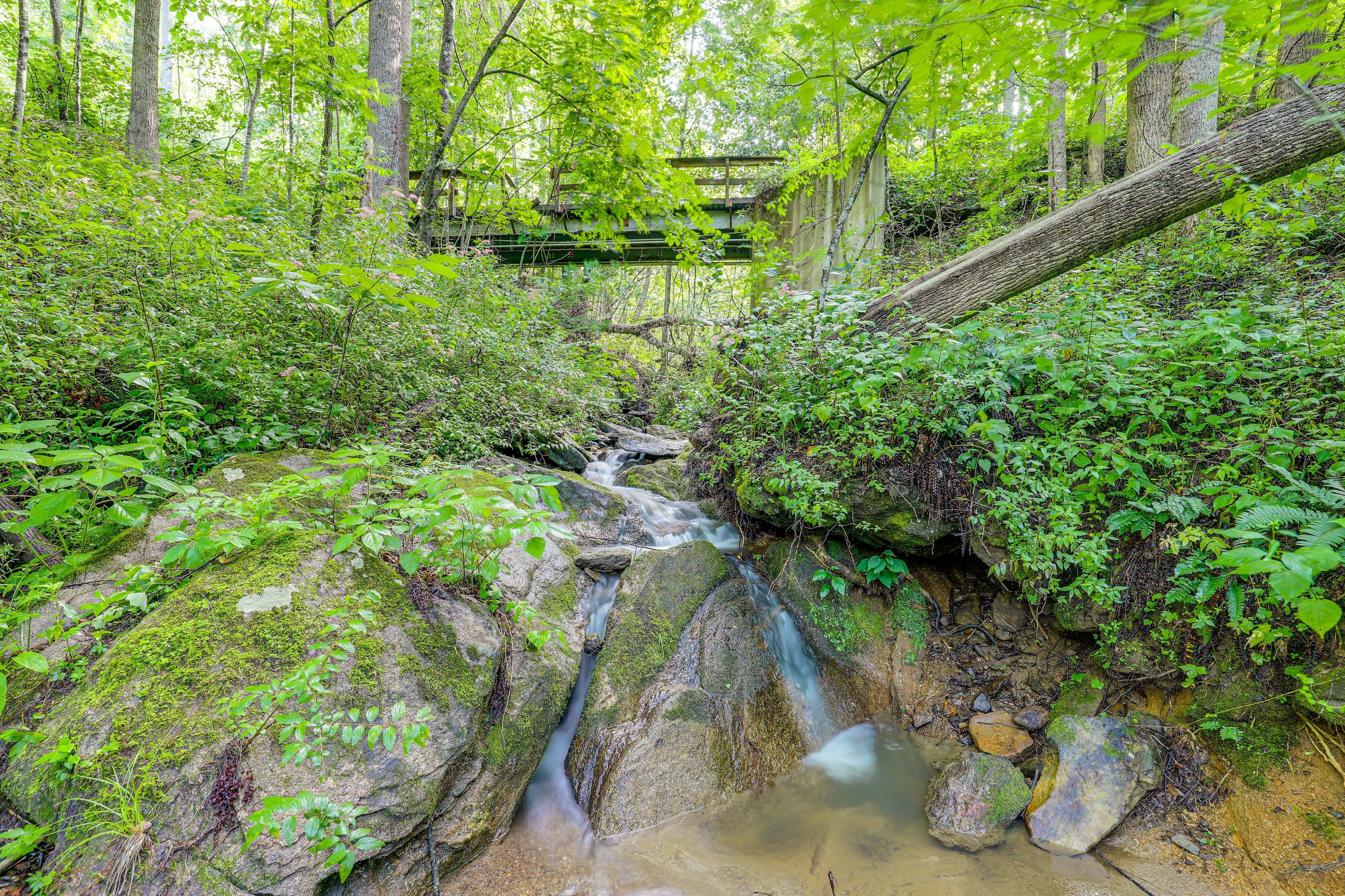 Property Surroundings | Creek Access