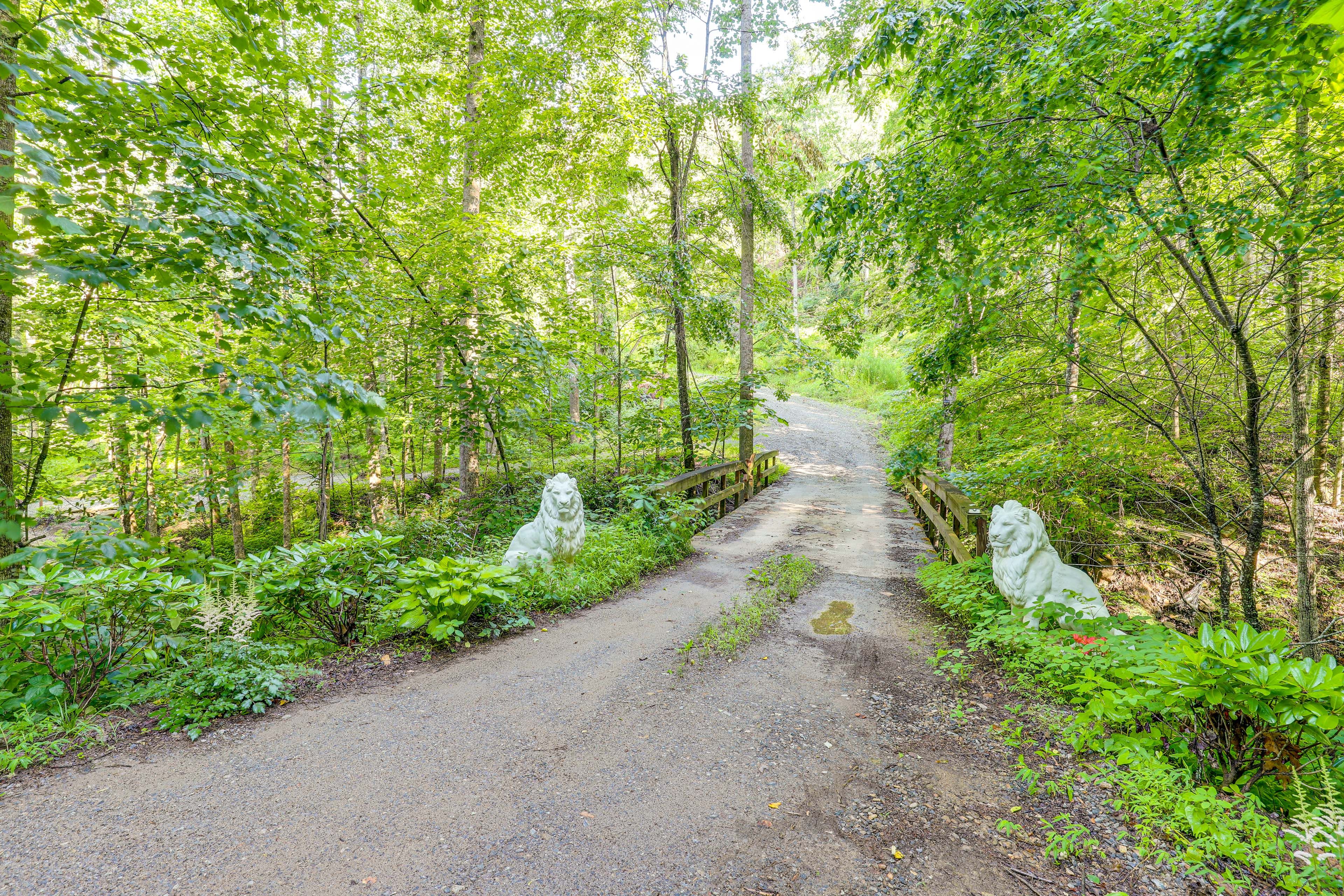 Property Surroundings