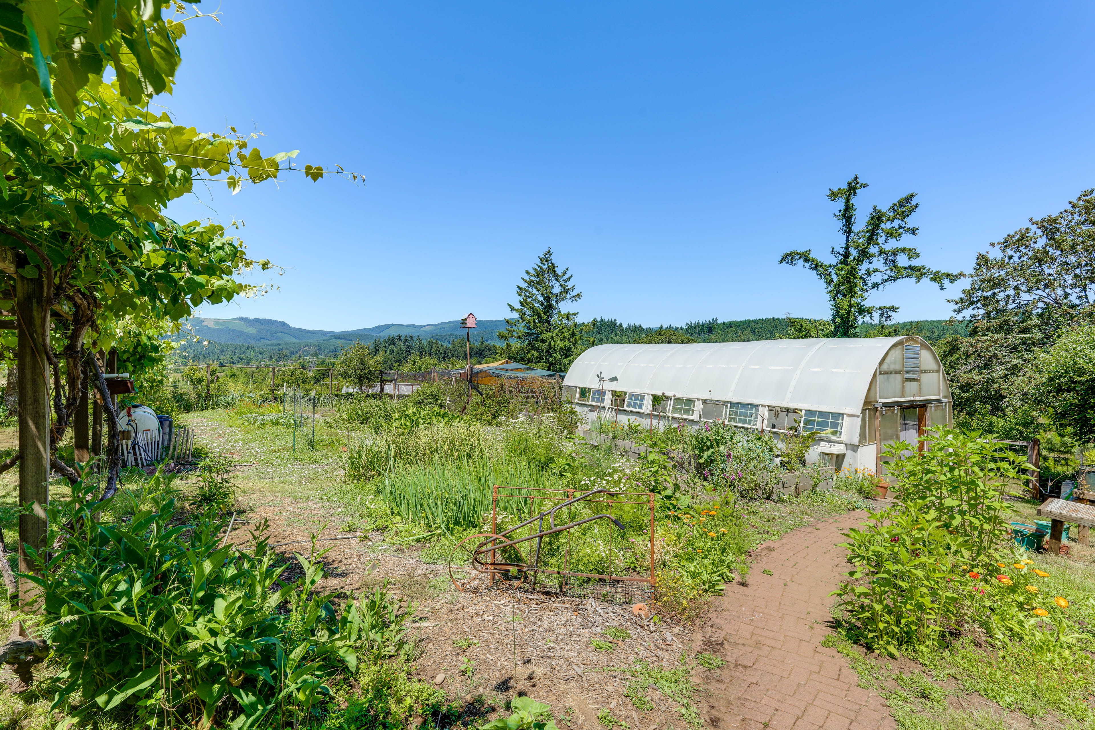 Happy Pirate Farm | Shared Outdoor Space