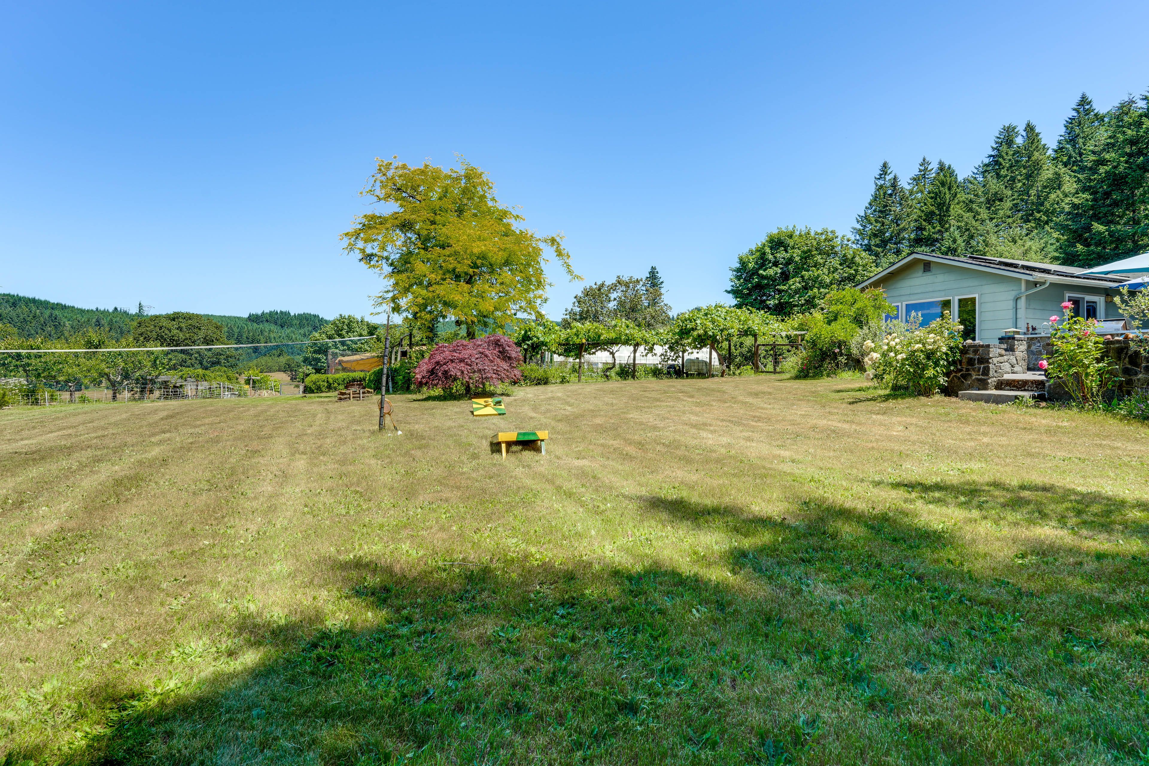 Happy Pirate Farm | Shared Outdoor Space | Badminton | Wildlife Watching