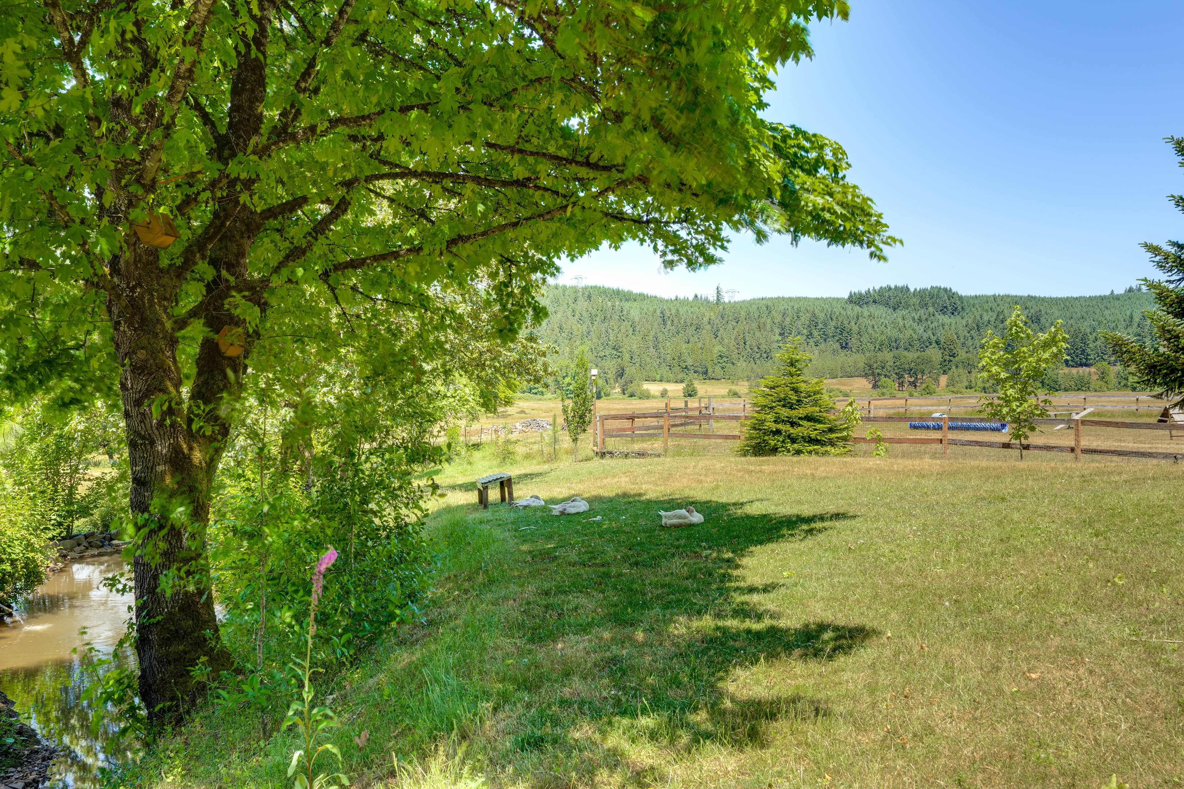 Image 33