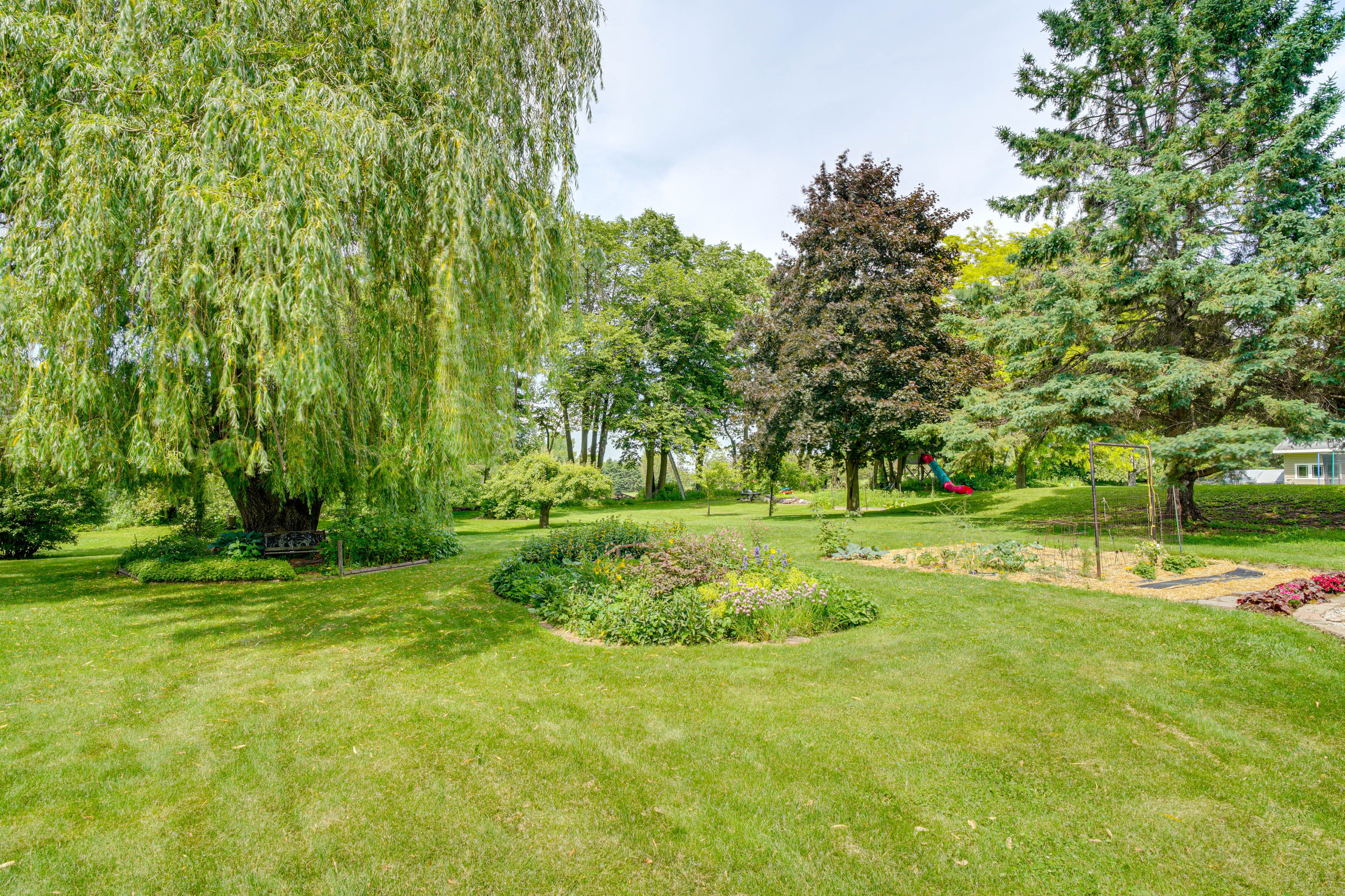 Large Backyard
