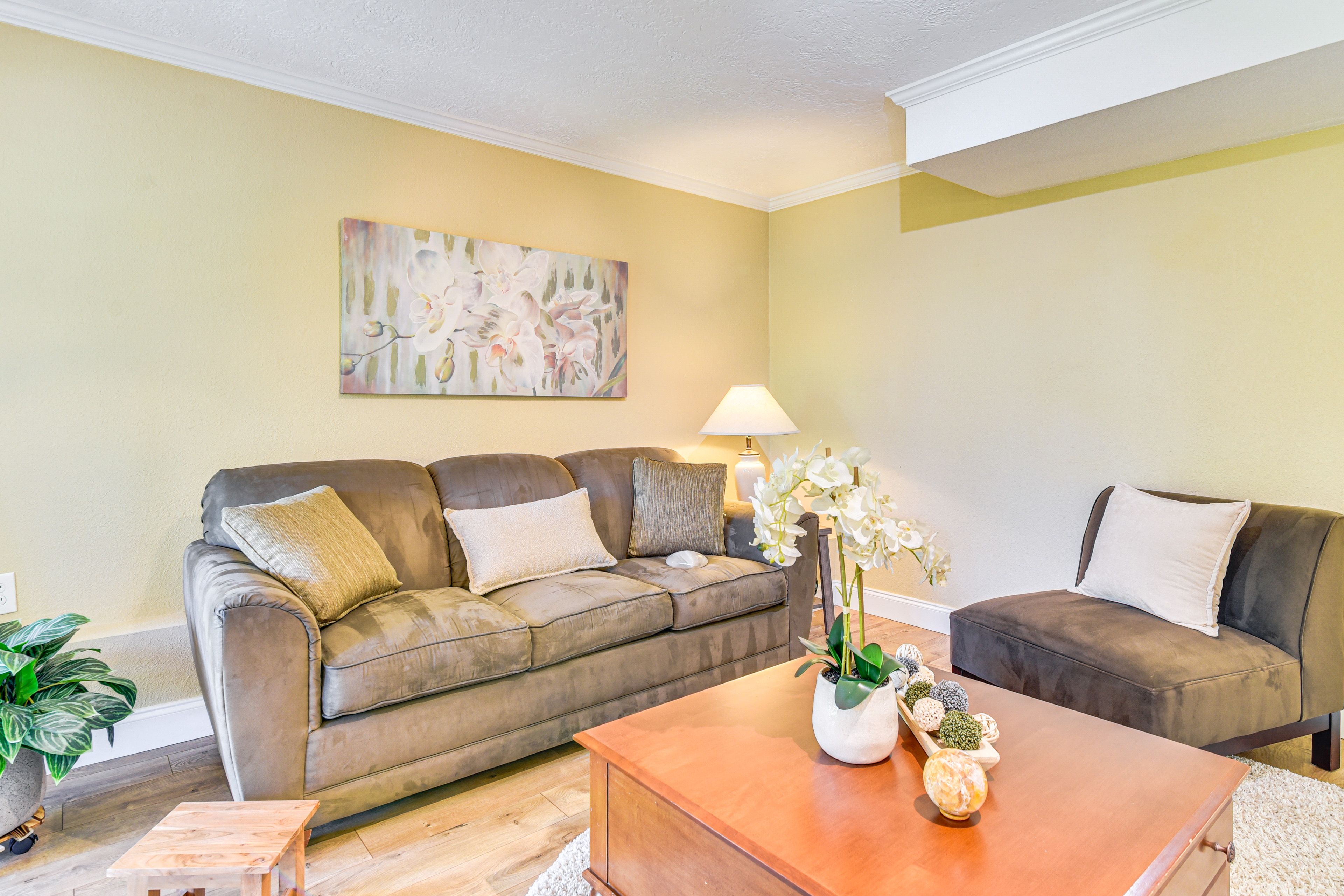 Living Room | Laptop-Friendly Space| Single-Story Apartment | Central A/C & Heat