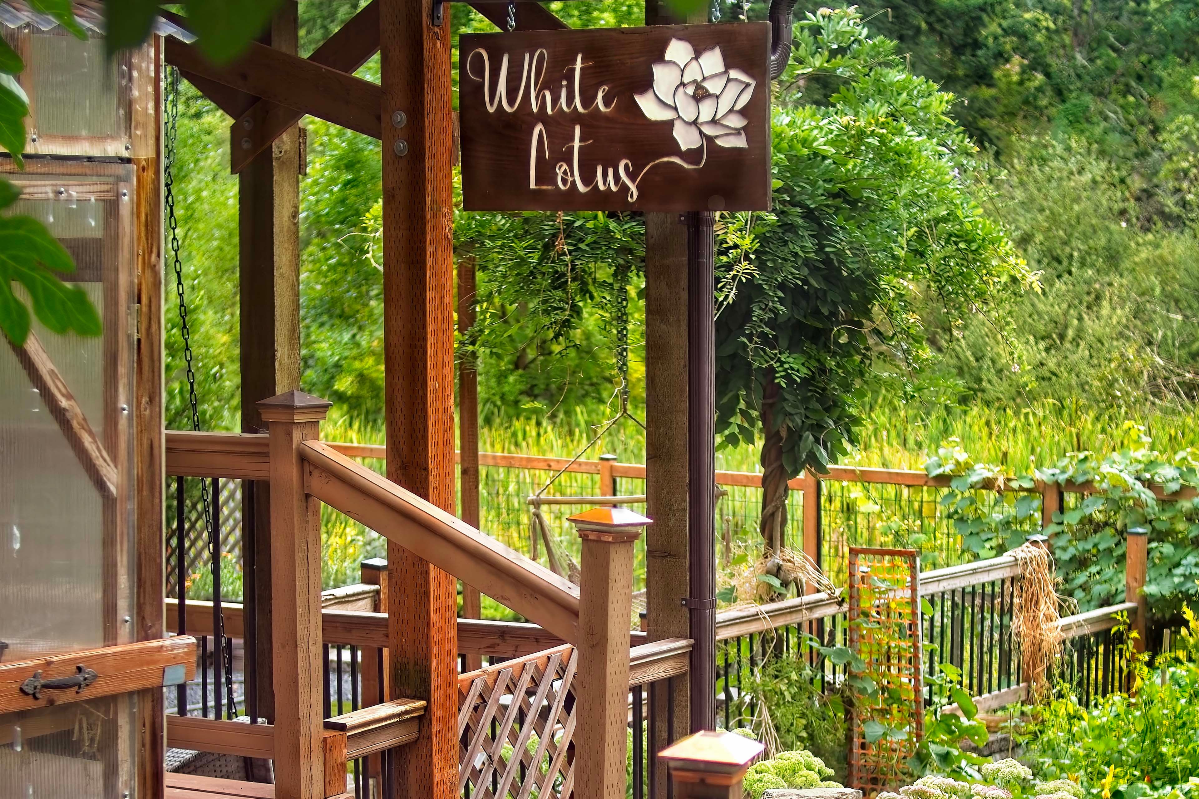 Private Yard | Garden | Hammock Chair | Meditation Spaces