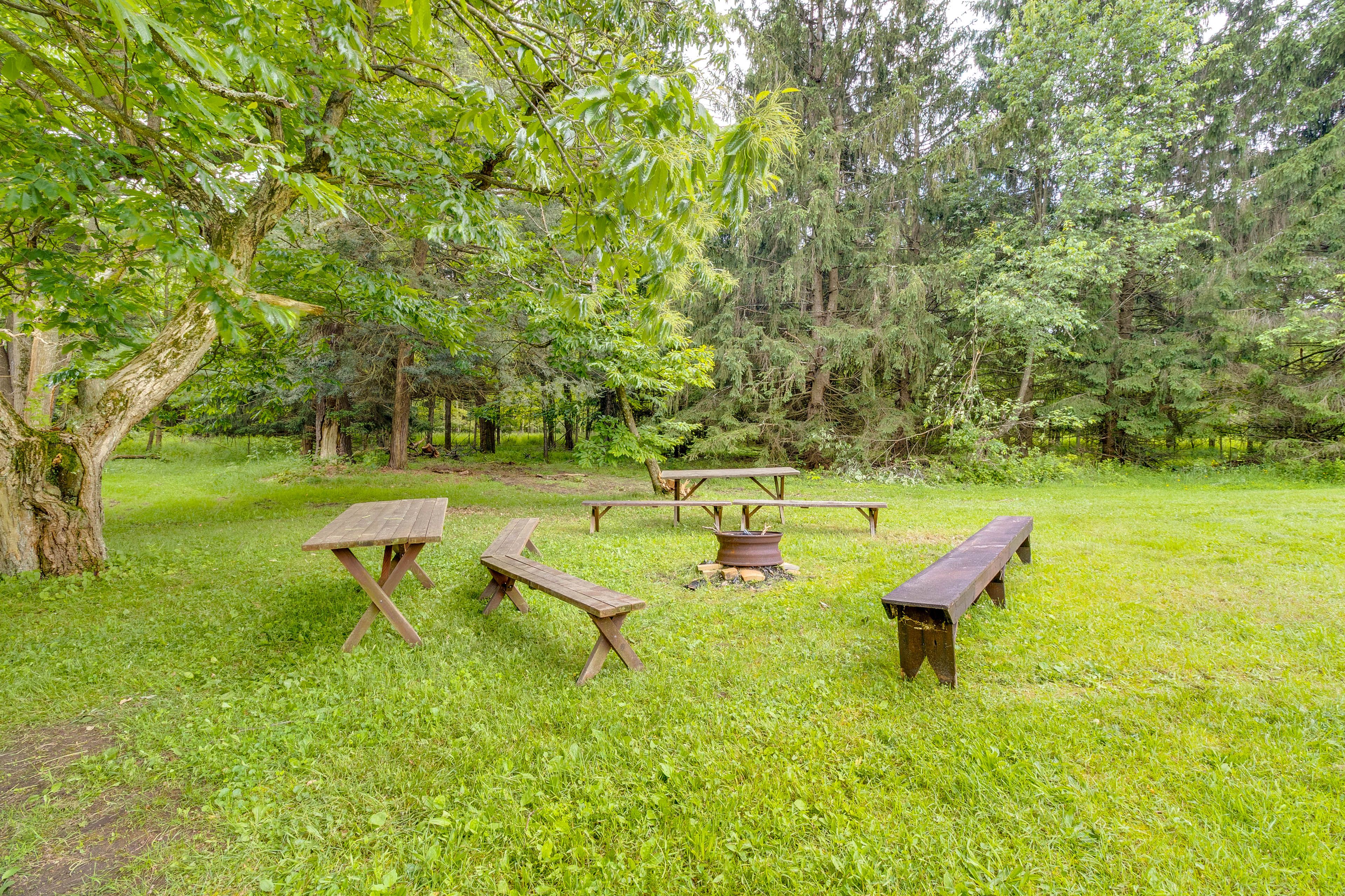 Fire Pit Area