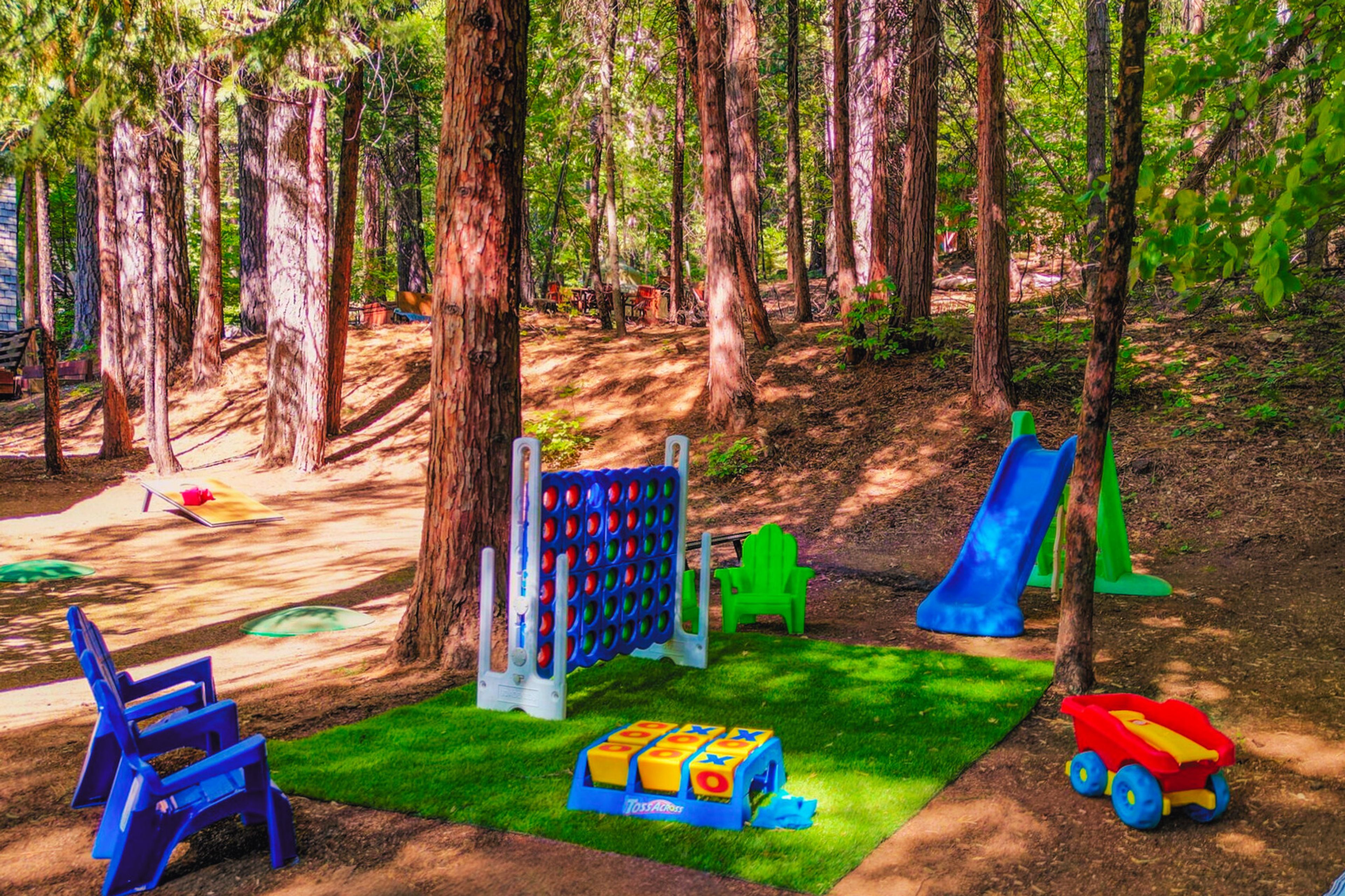 Play Area