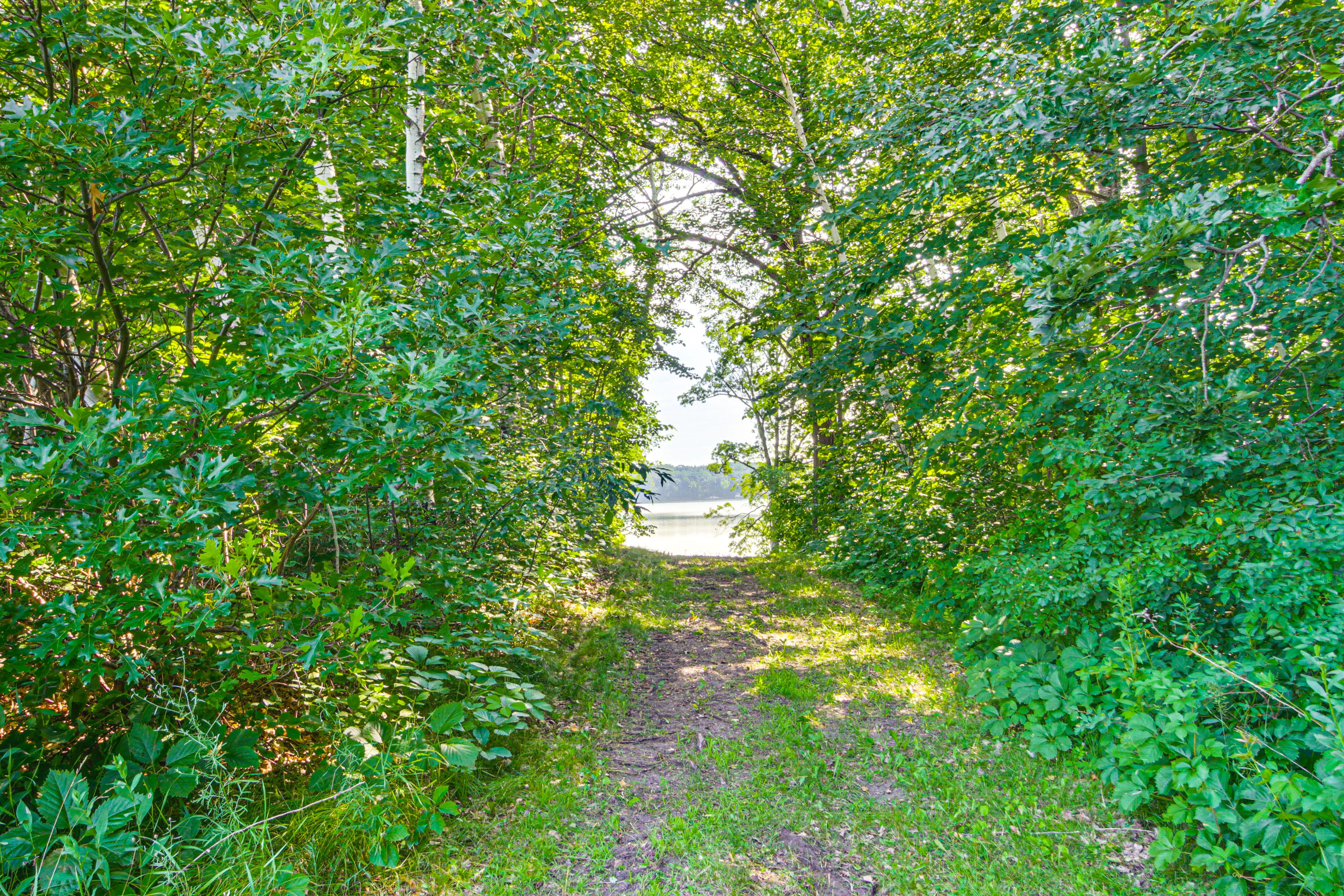 Elbow Lake Access On-Site | Private Dock