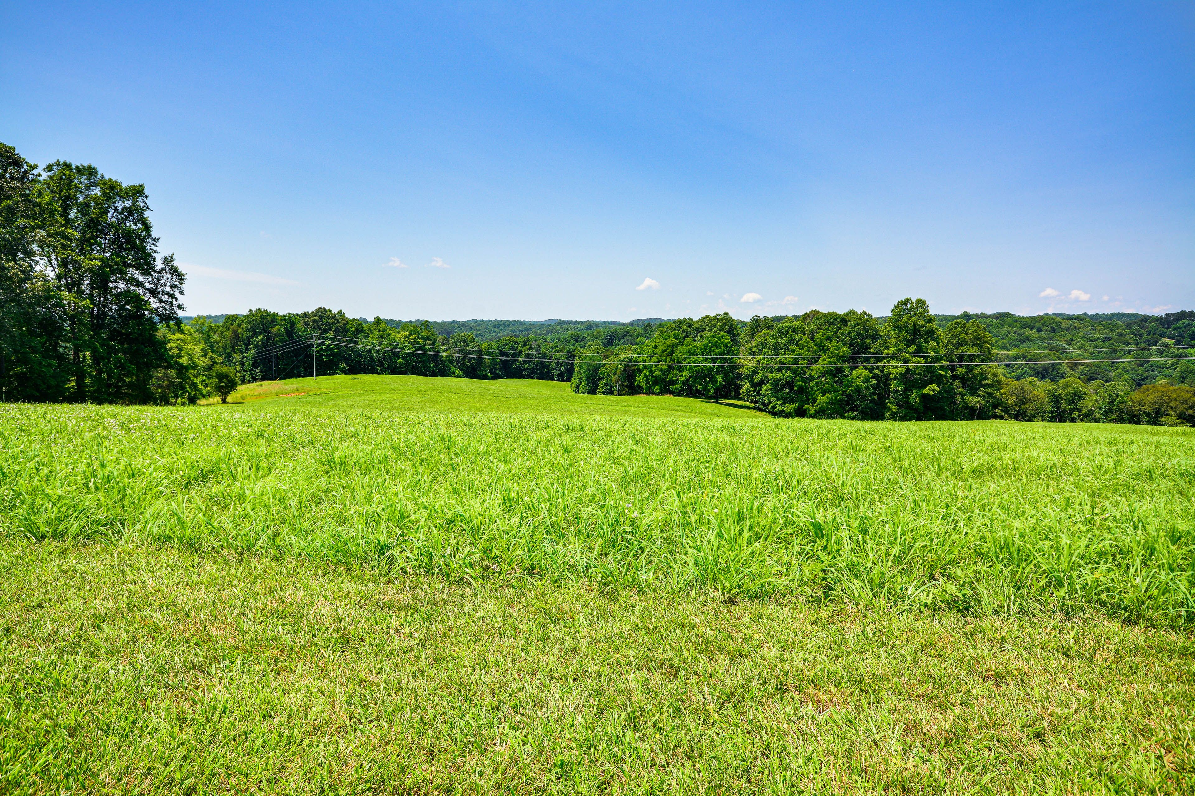 Surrounding Area