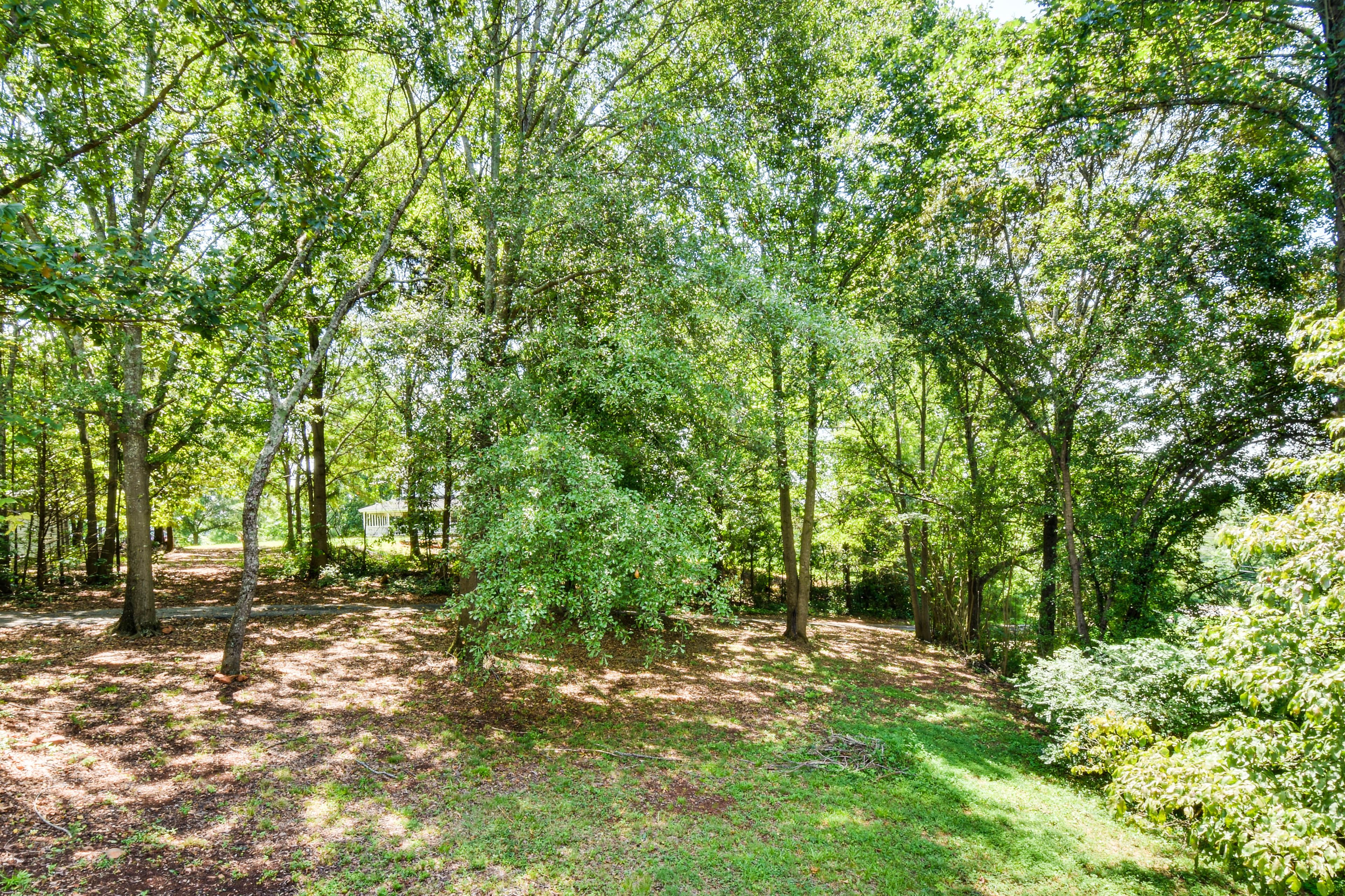 Surrounding Area