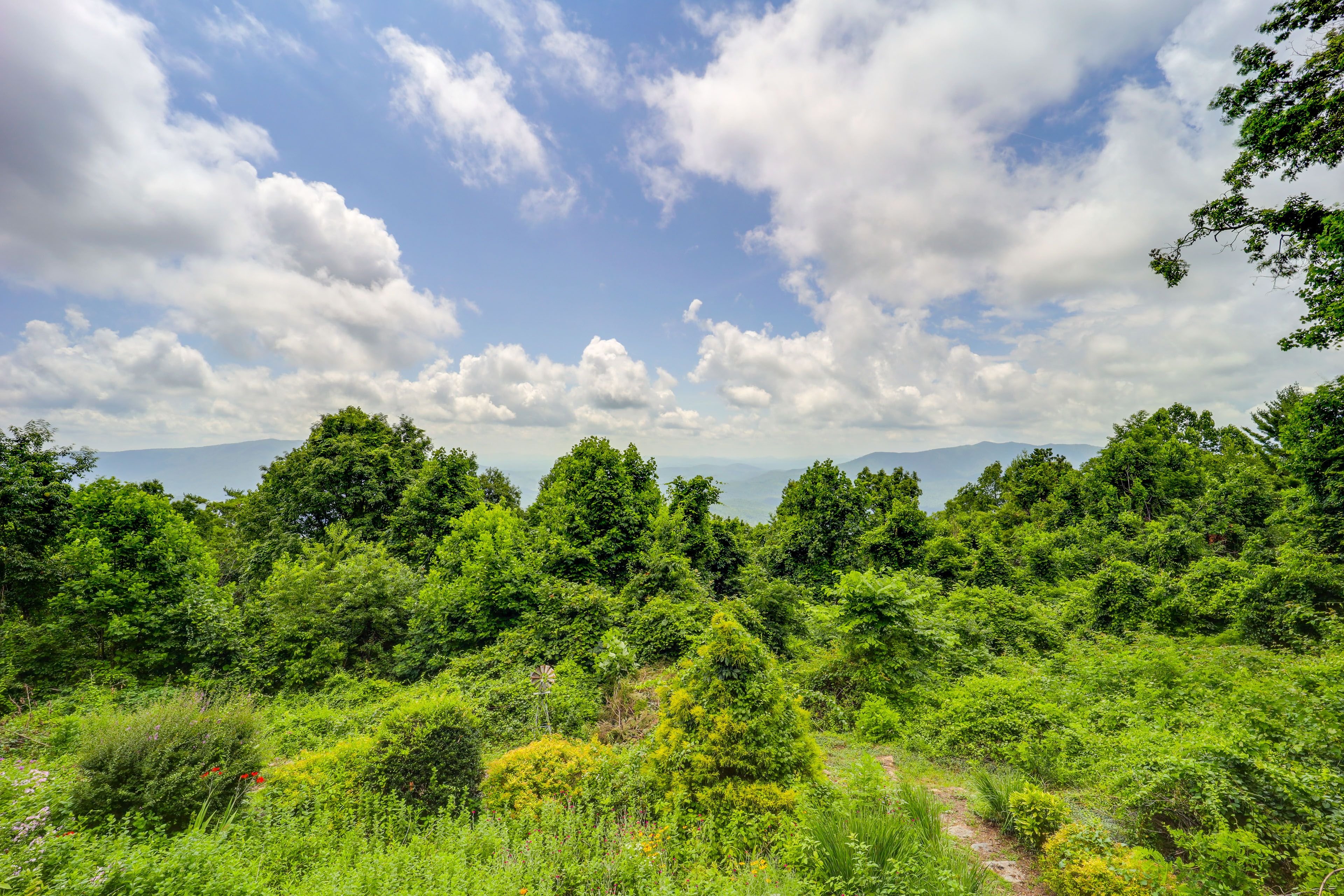 Mountain Views