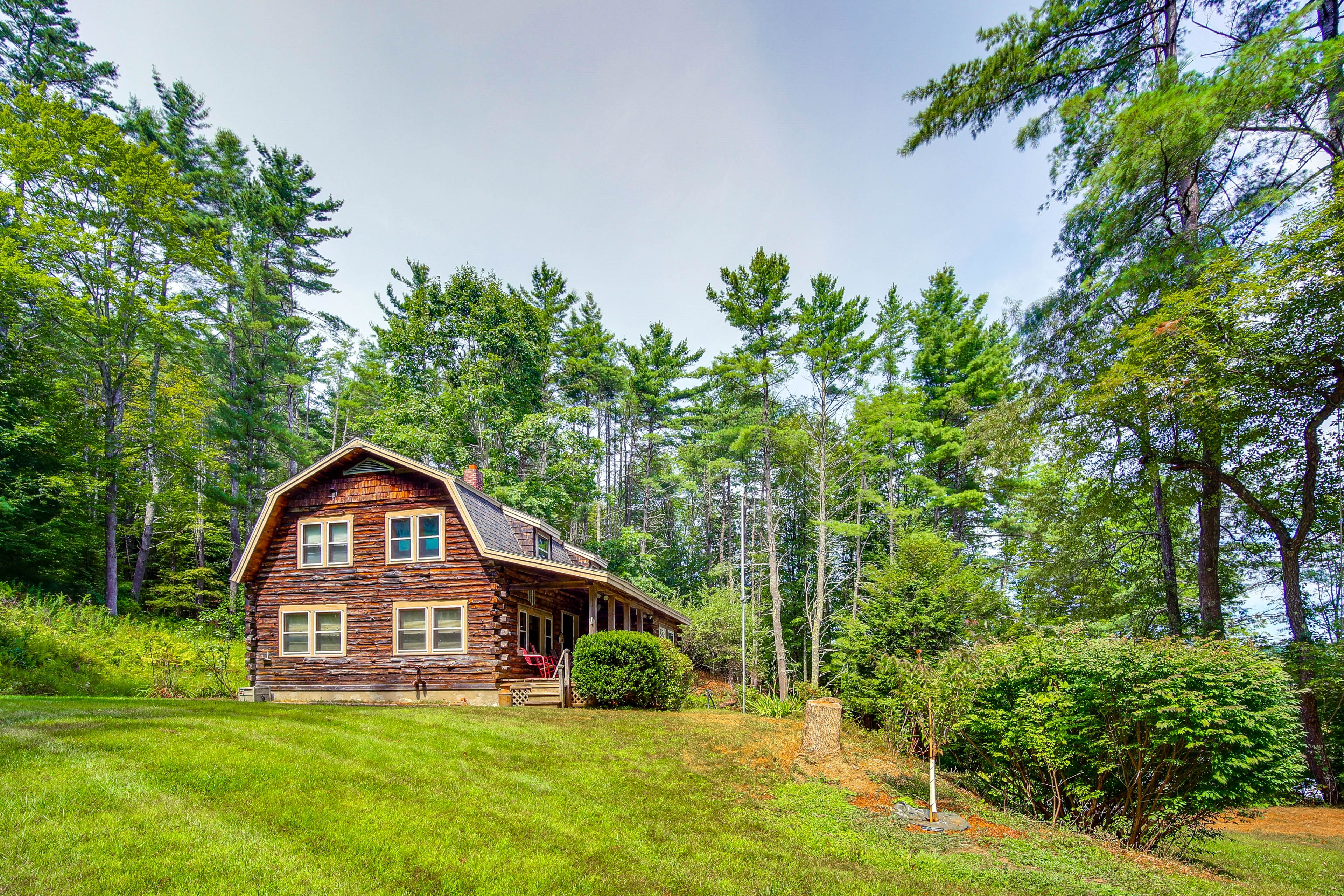 Large Yard | Visiting Wildlife | Bird Song