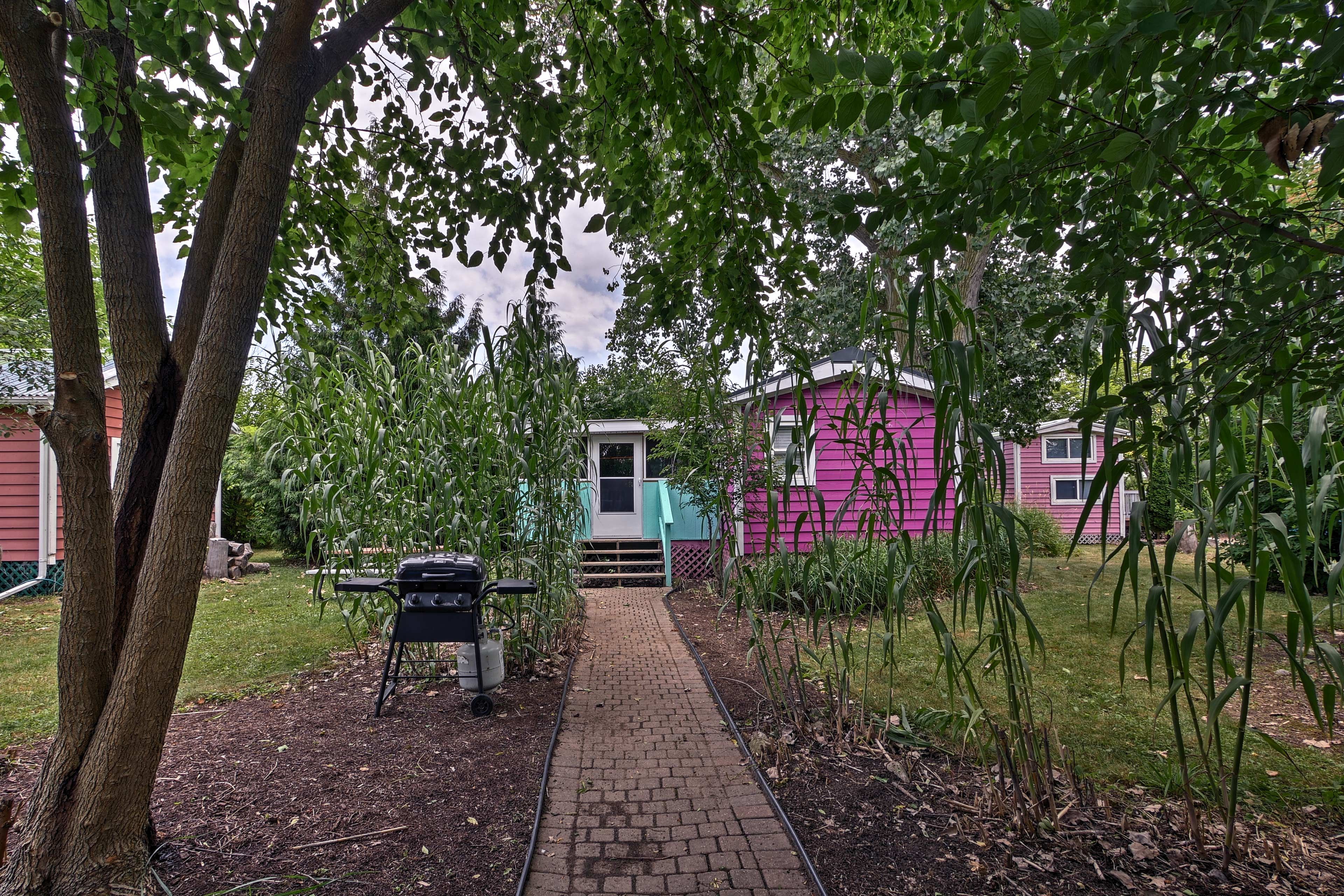 Image 23