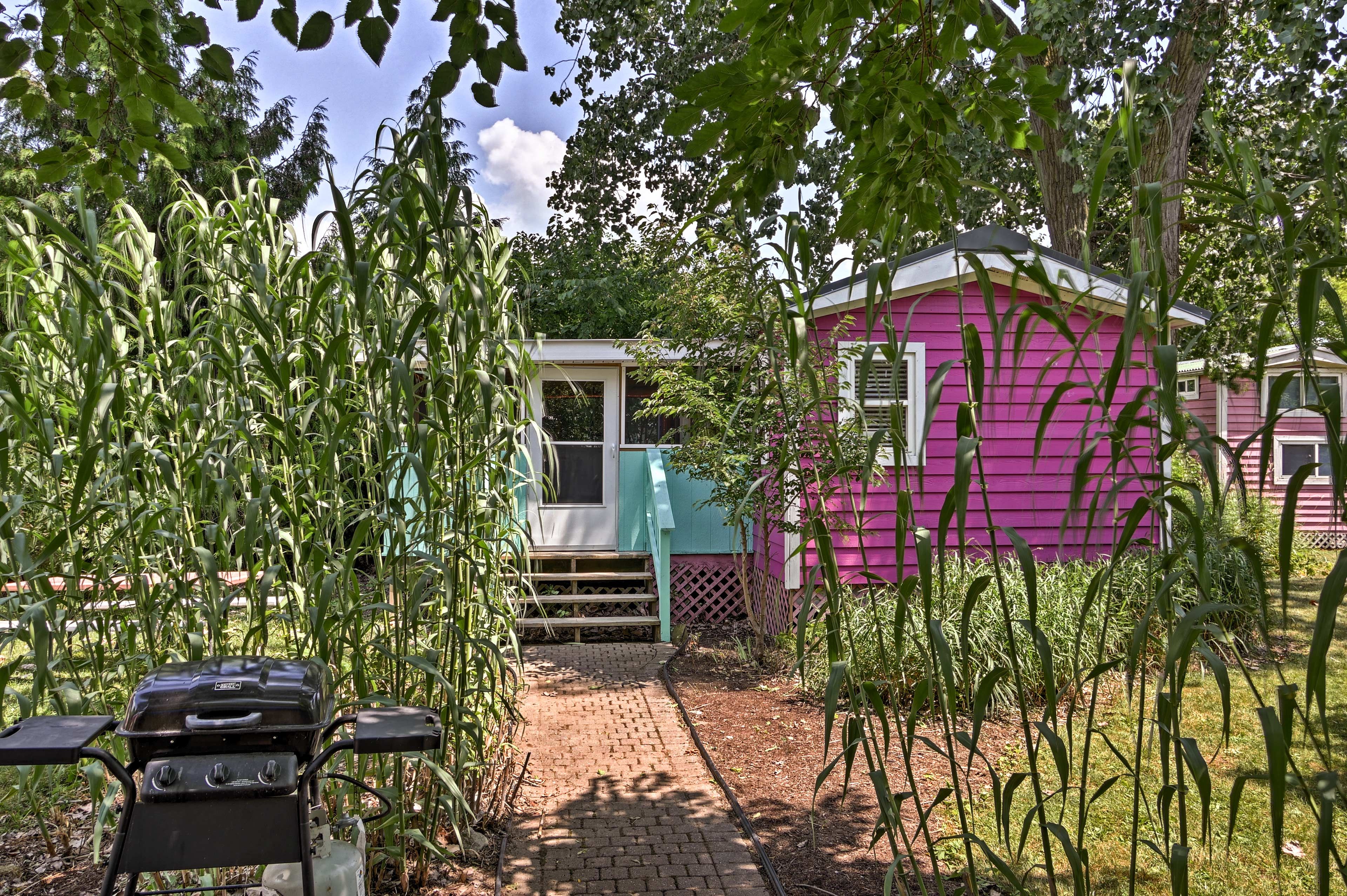 Outdoor Space | Shared Gas Grill | Picnic Table