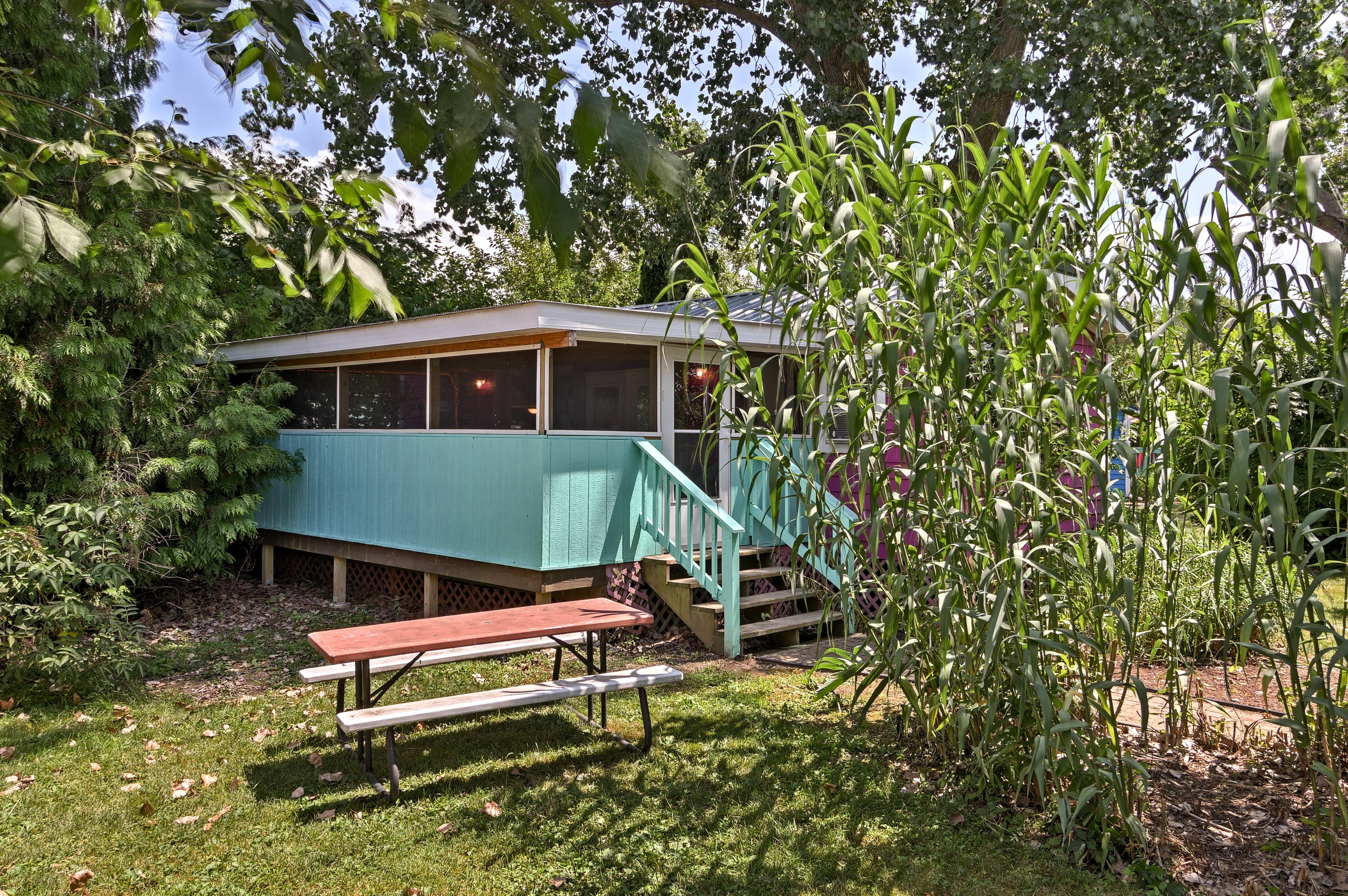 Property Exterior | Single-Story Cabin