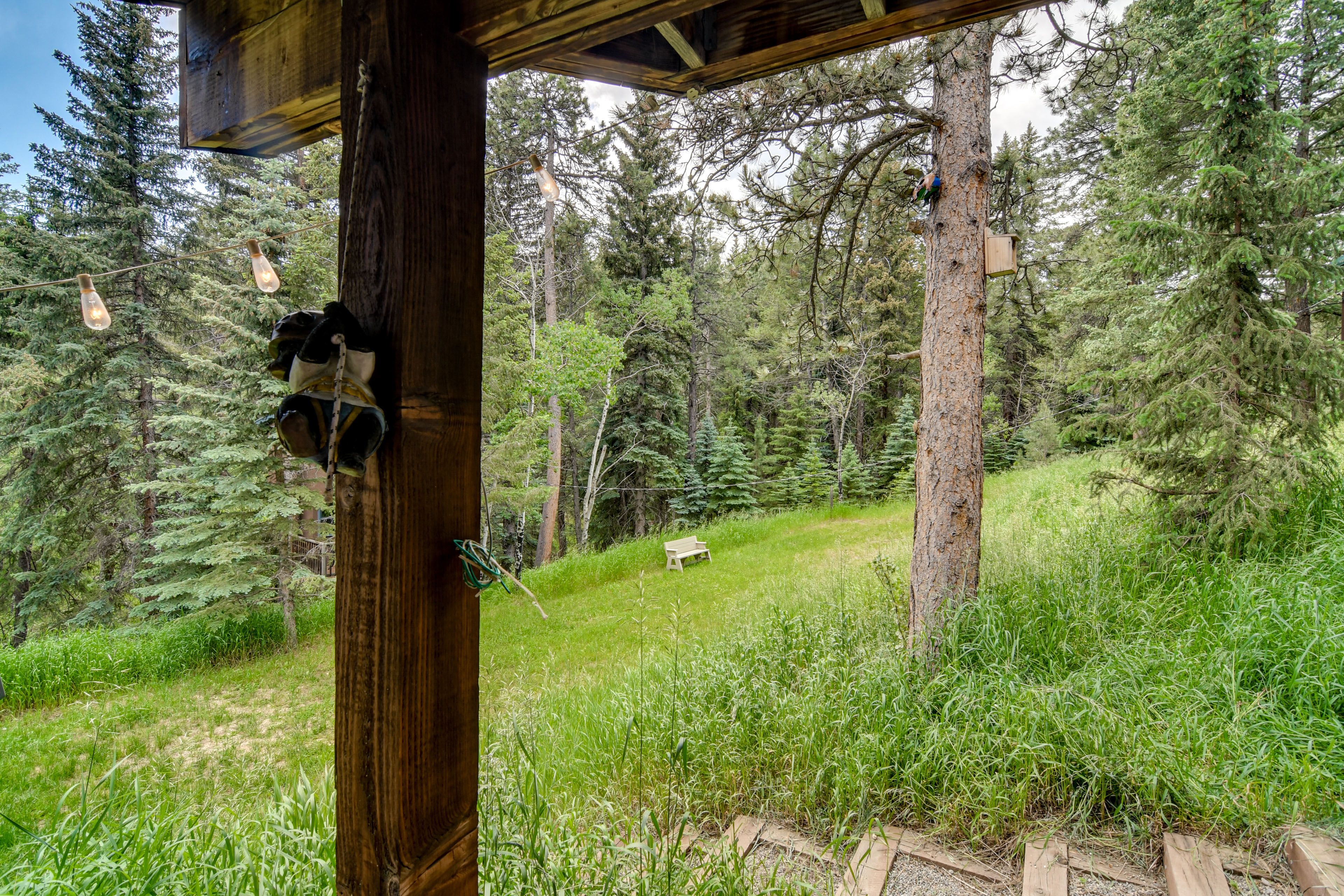 Large Yard | Hiking Trail Access On-Site