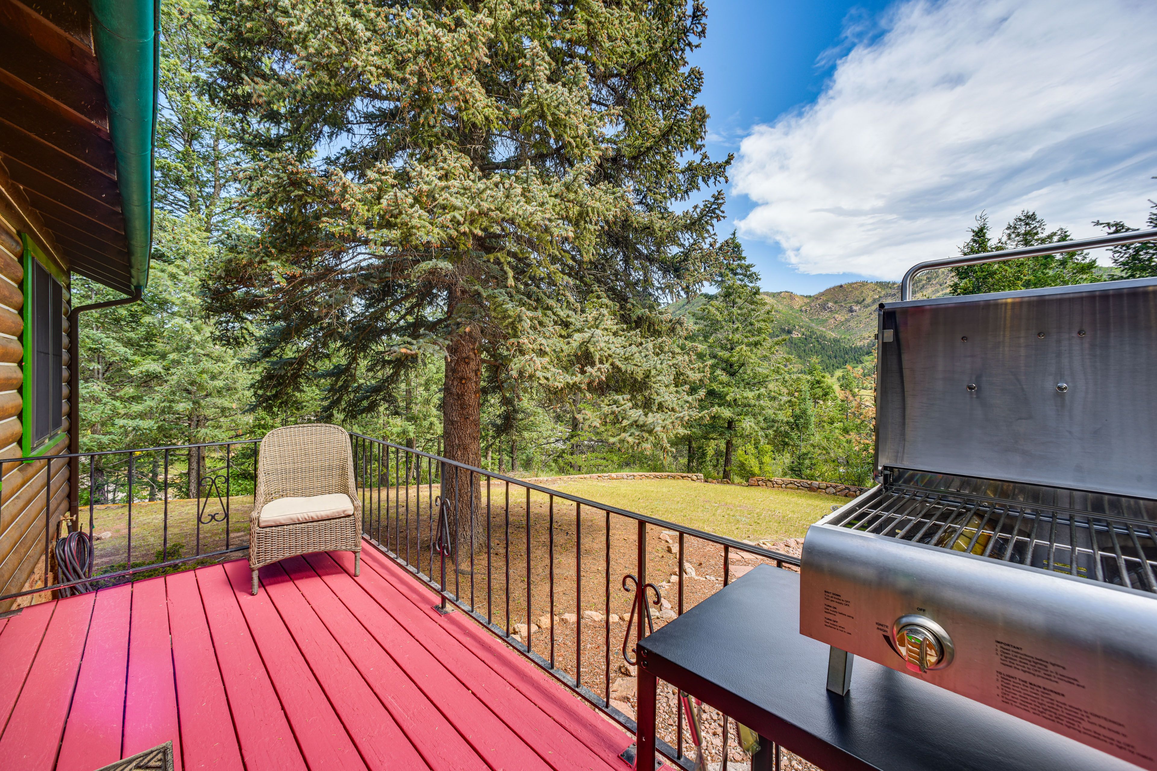 Private Deck | Grill