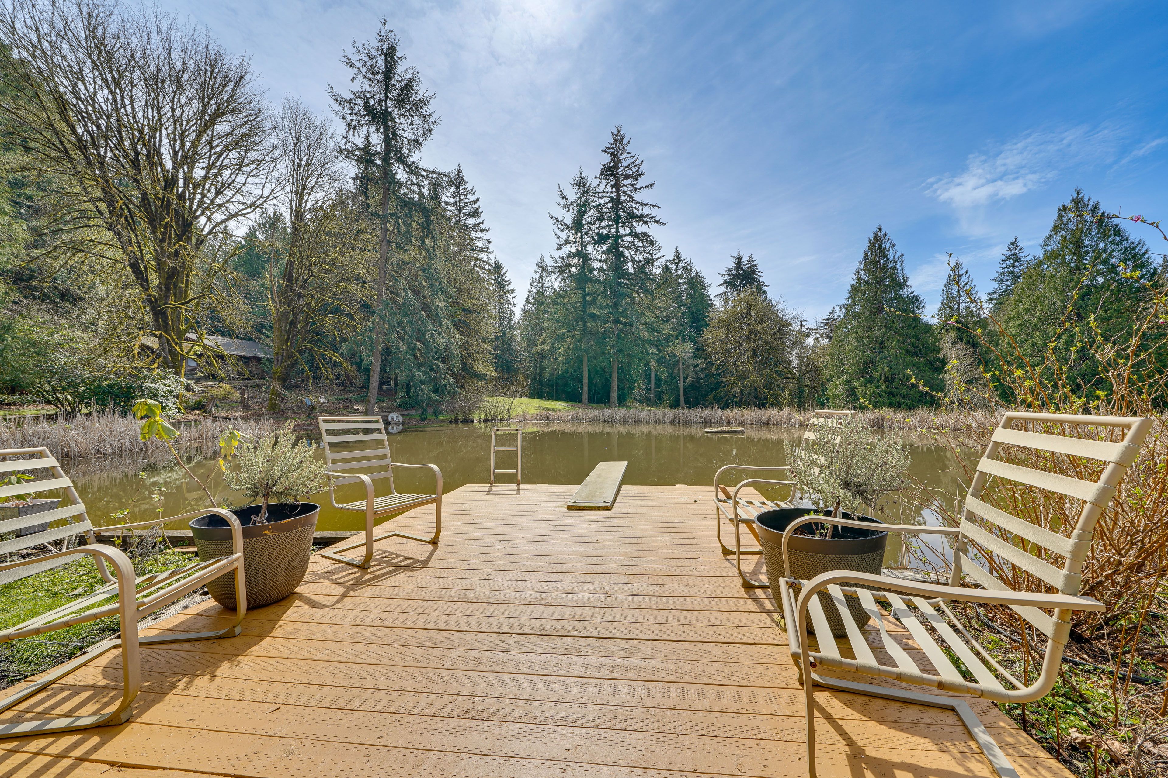 Large Dock w/ Diving Board