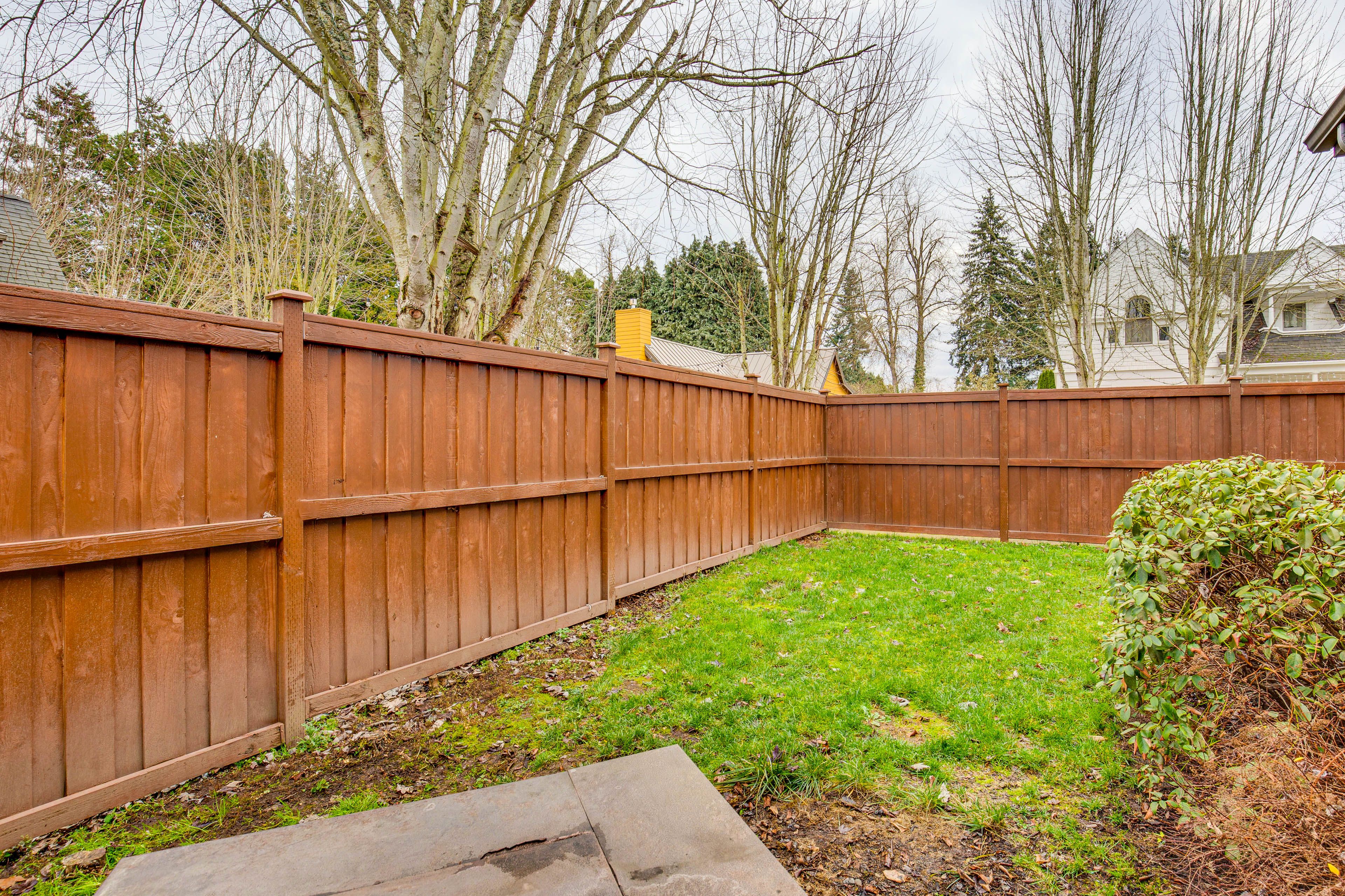 Fenced Backyard