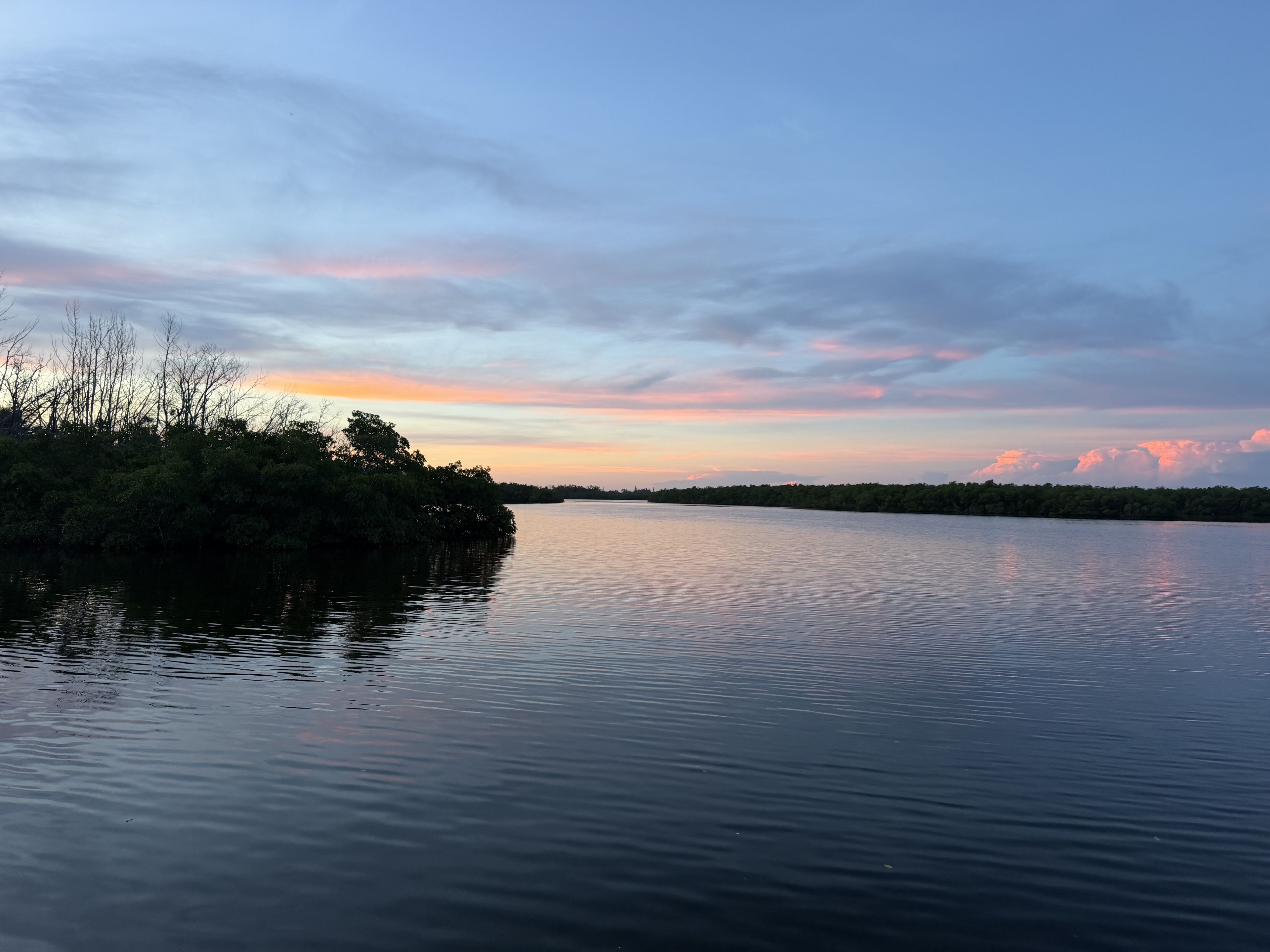 Image 51