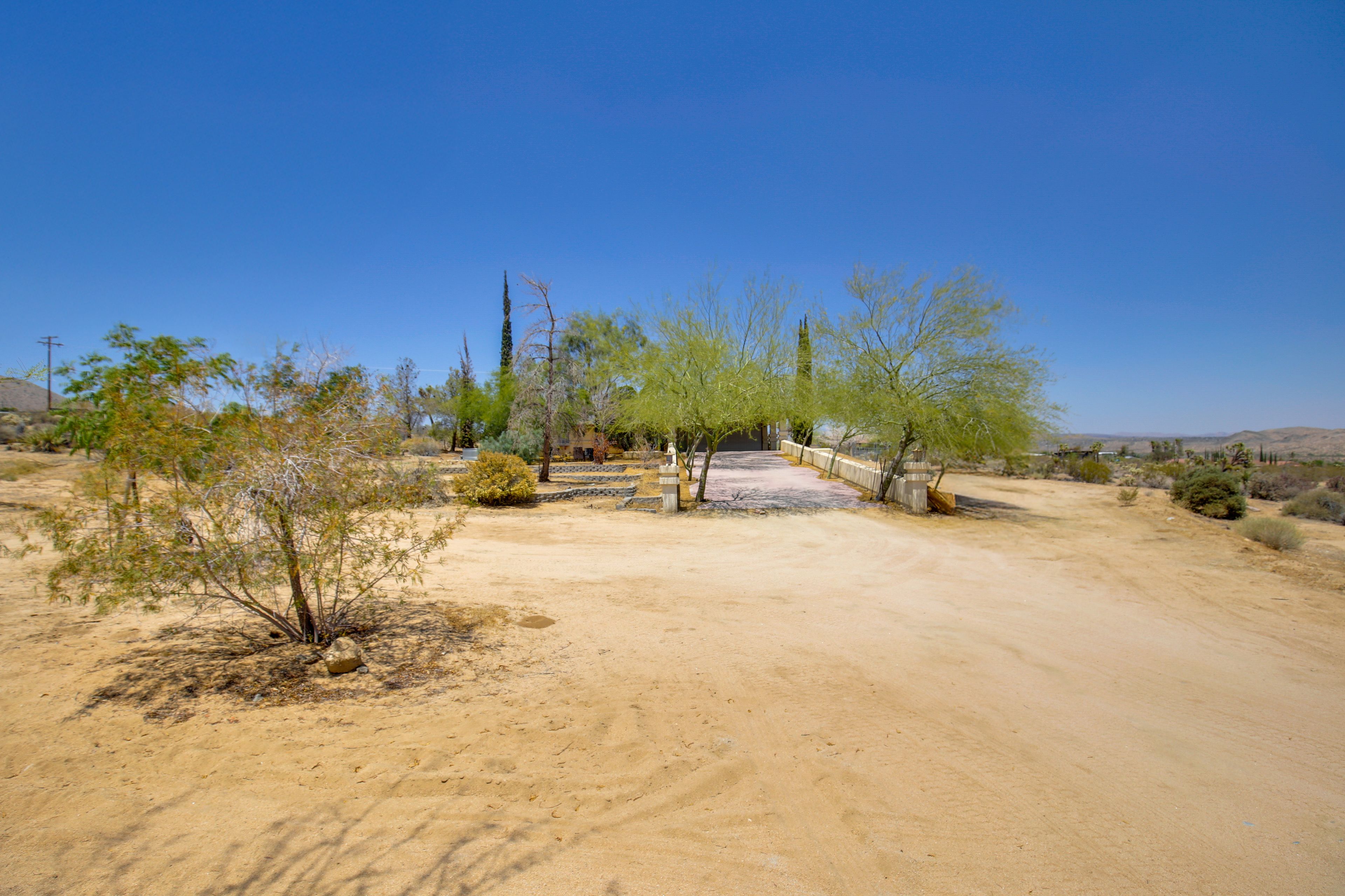 Image 33