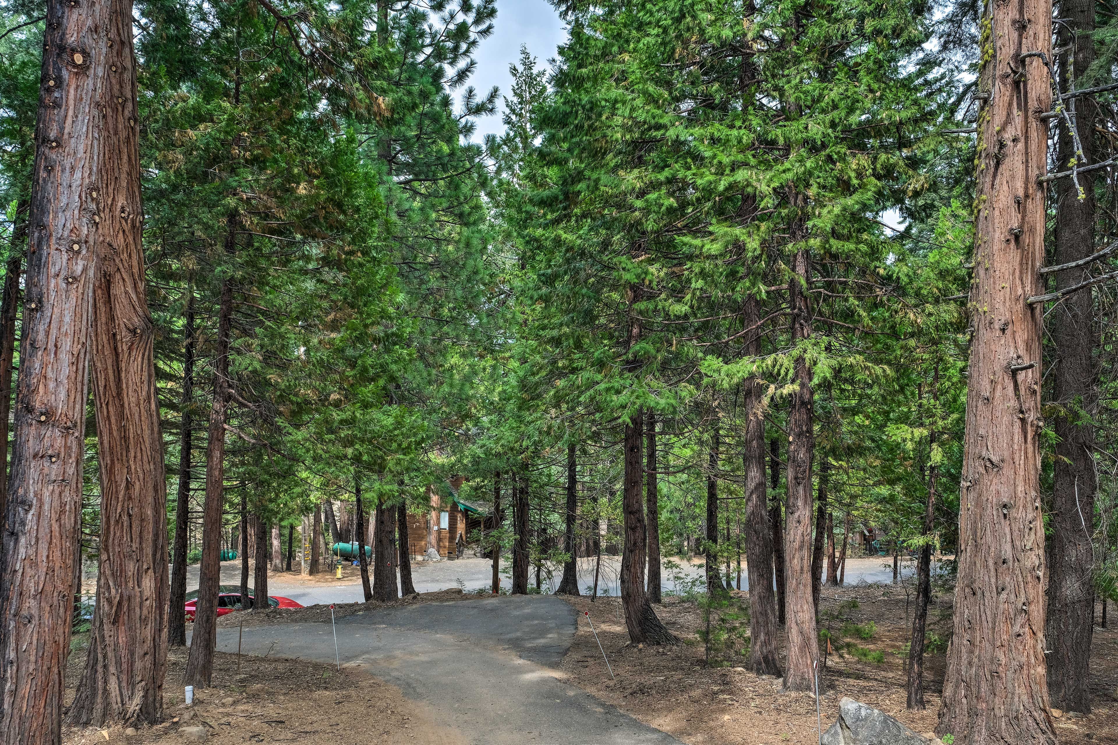 Property Exterior | Driveway (4 Vehicles) | Trailer Parking Allowed