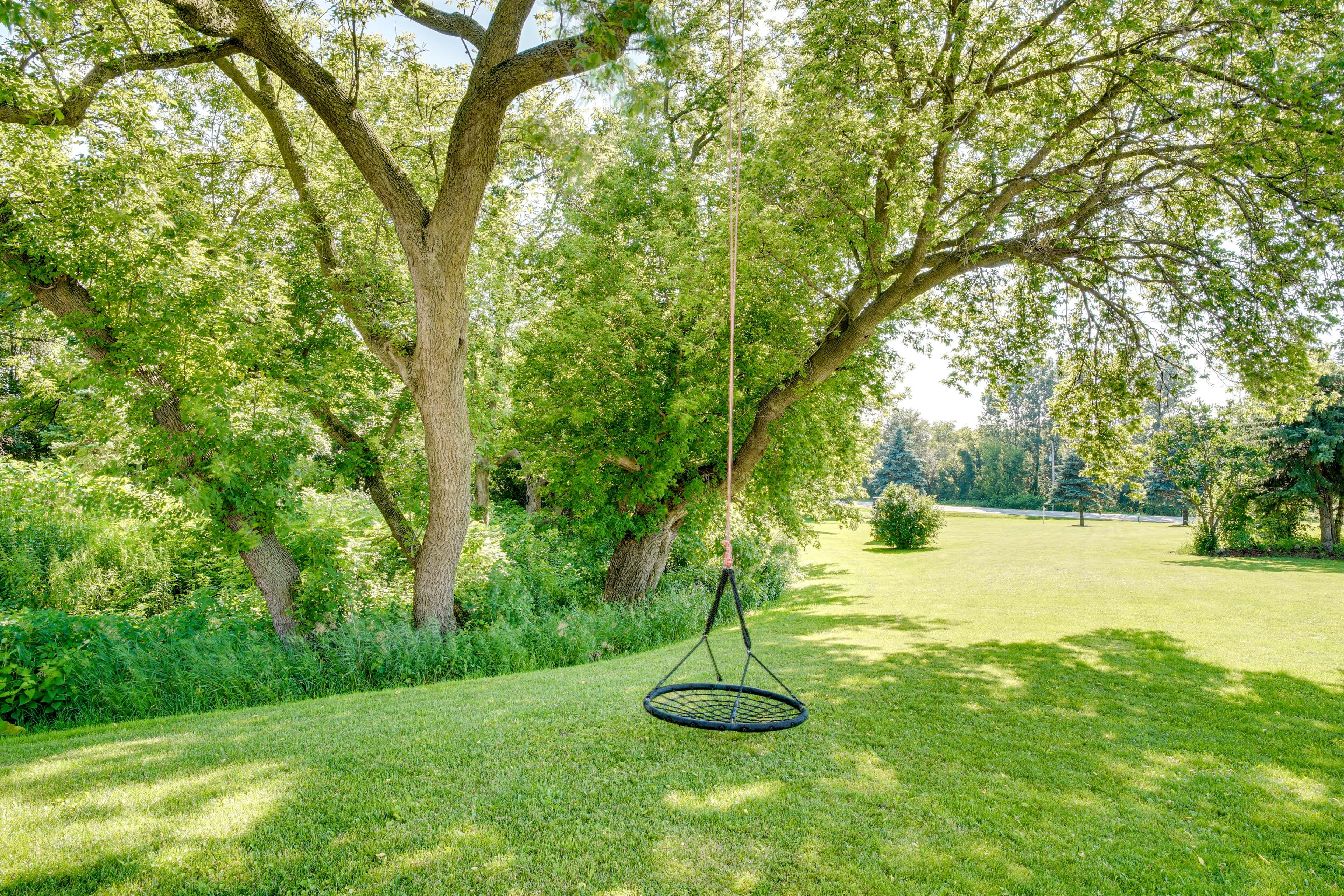 Saucer Tree Swing
