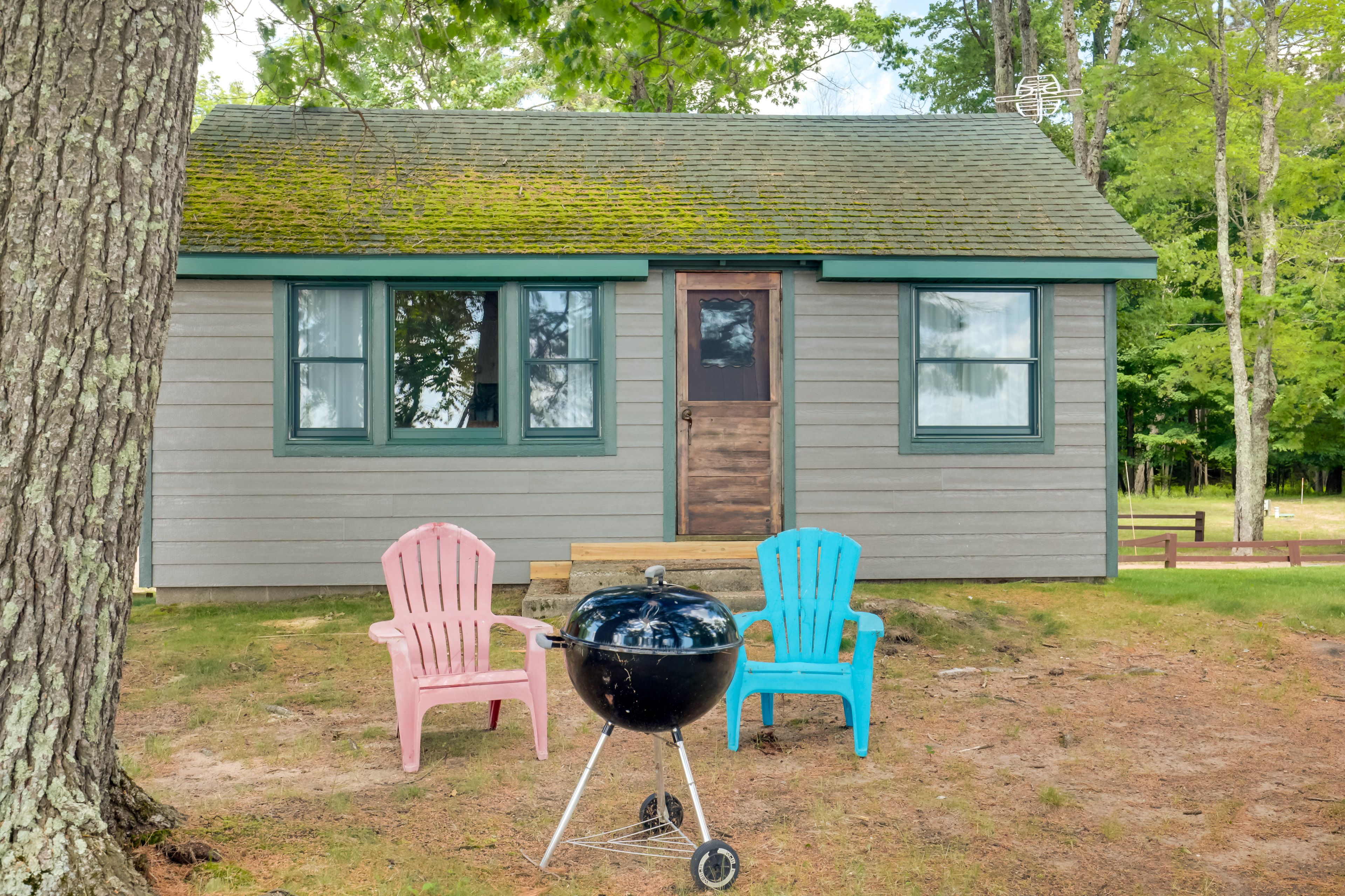 Backyard | Charcoal & Gas Grills | Picnic Area | Lake View