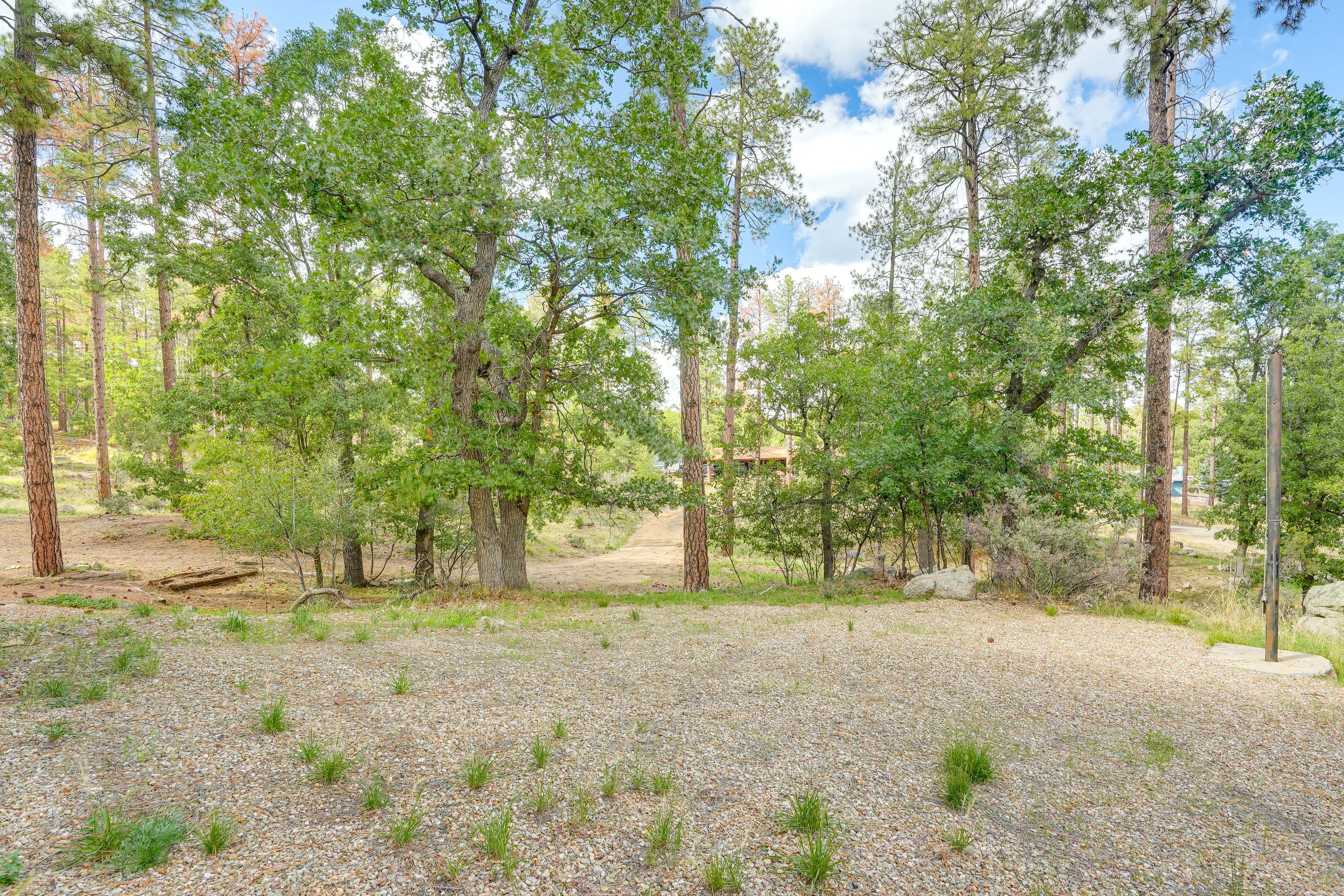 Surrounding Property