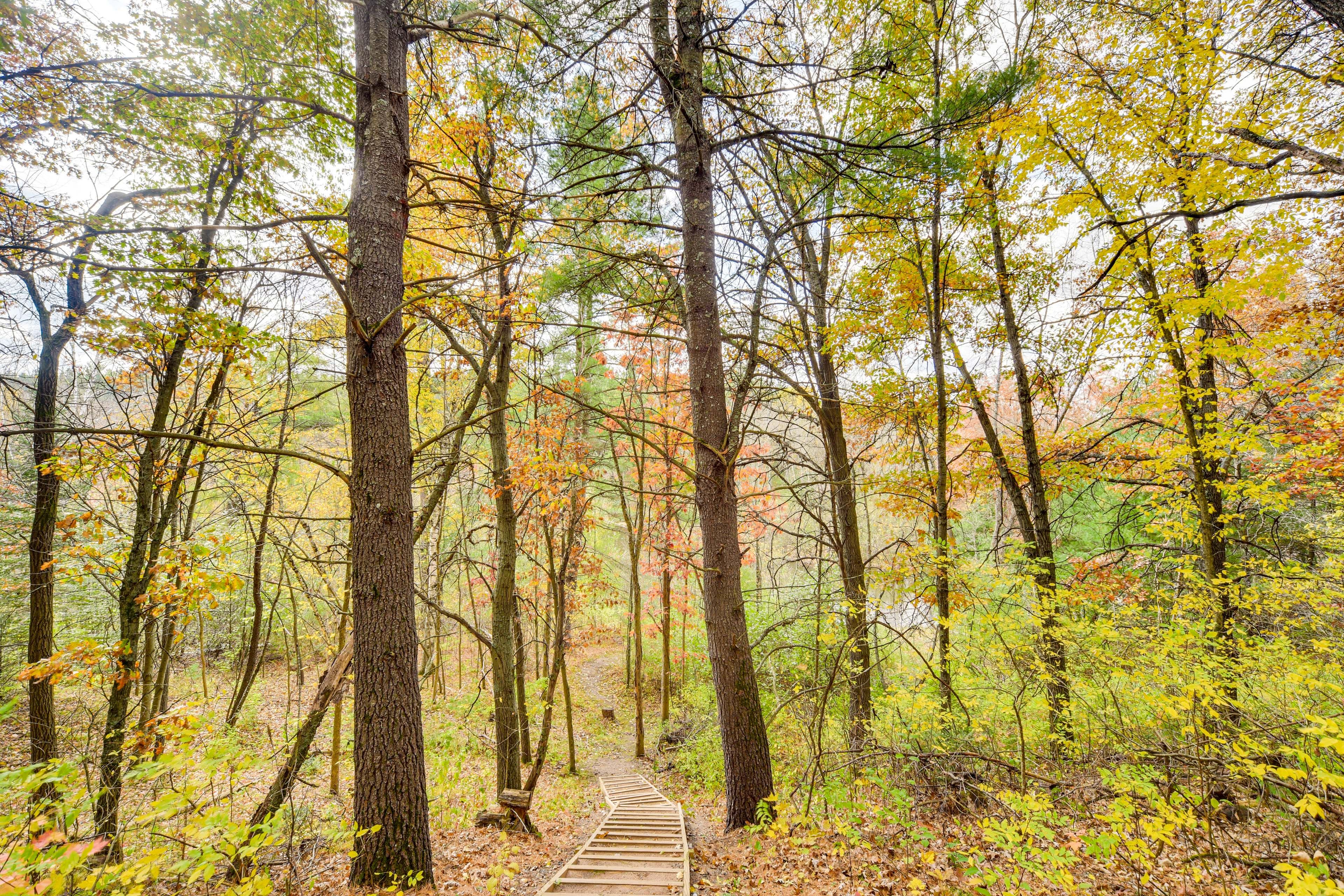 Cabin Exterior | Walk to River