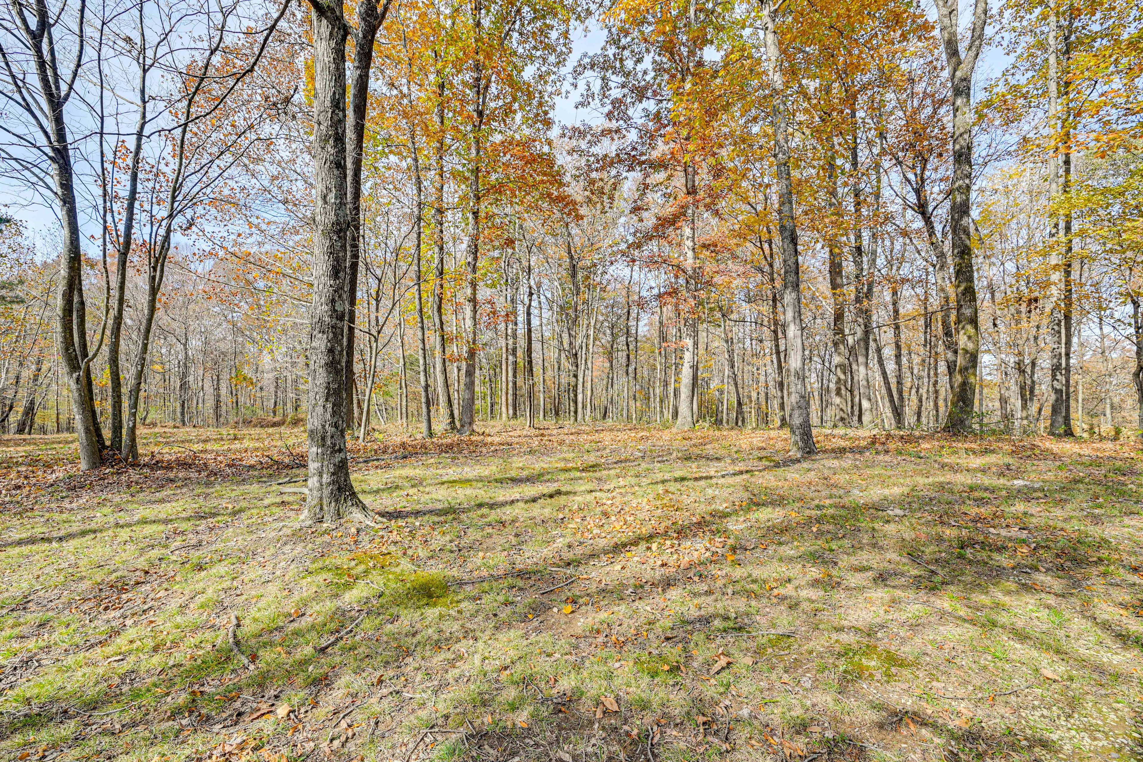 70-Acre Lot | Hiking Trail Access On-Site